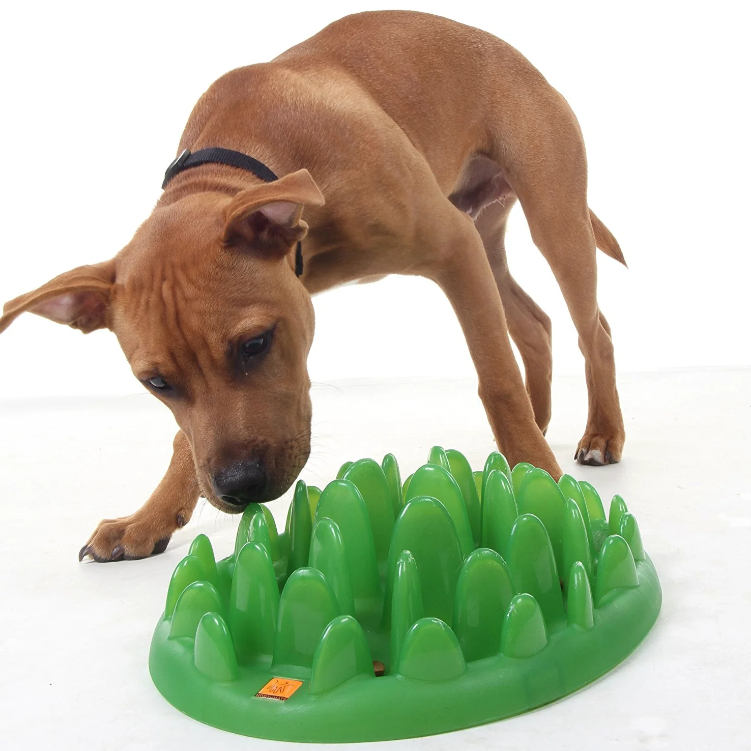 Interactive Gamelle d'alimentation Lente pour Chiens Vert | Taille S | Gamelle Anti Glouton Chien pour réduire les ballonnements, Procure une stimulation mentale, lavable au lave-vaisselle