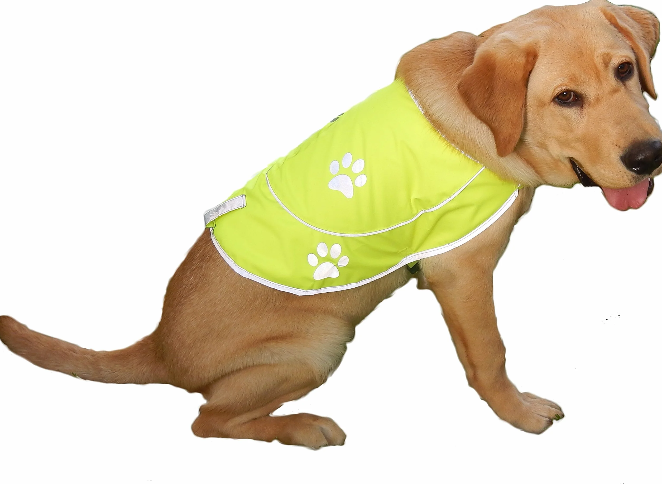 Gilet Réflecteur Chasse Chien Imperméable Jaune Orange Haute Visibilité Taille XS-XXL