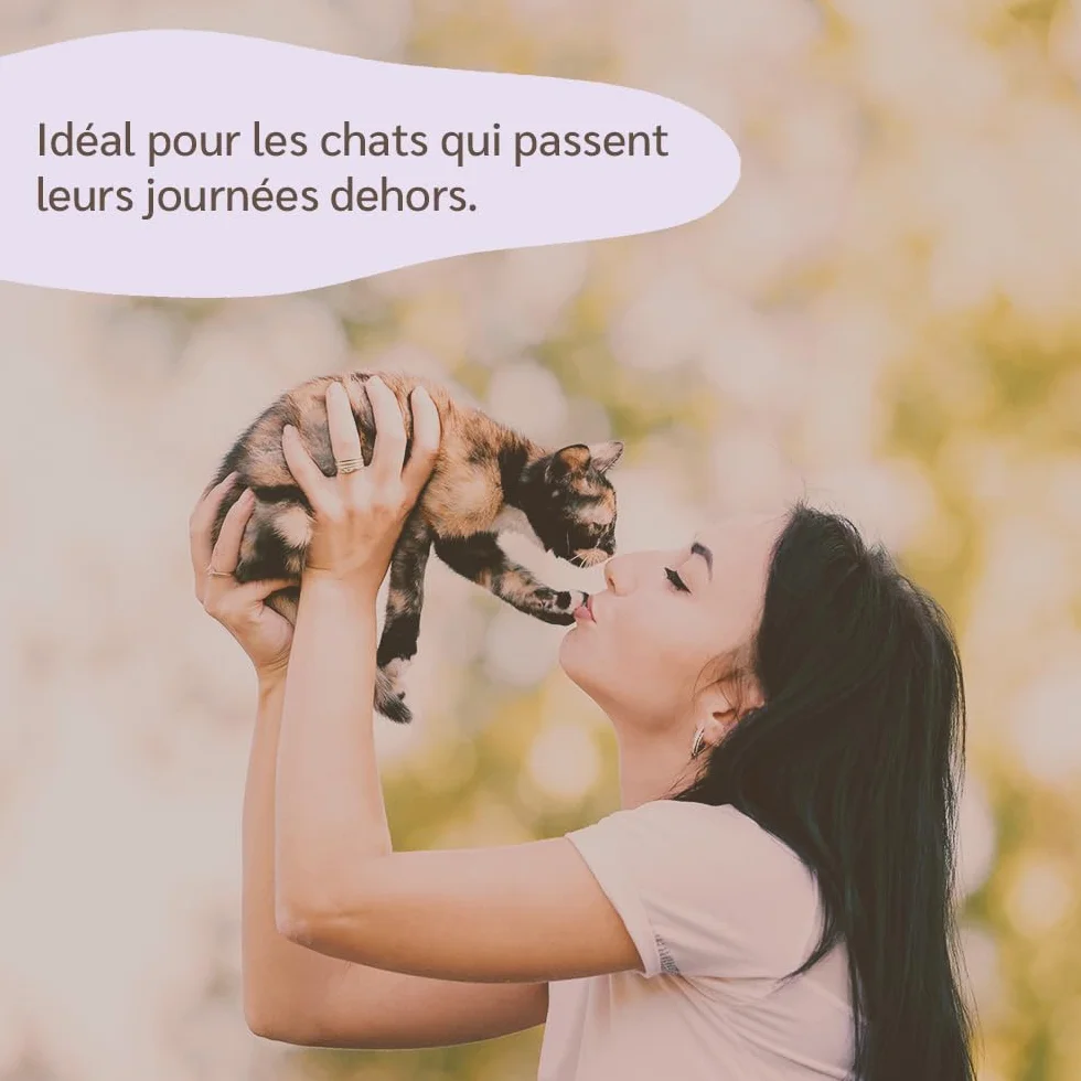 Huile de Neem pour Chats Spray Anti Insectes Anti Puces 100% Naturel Vegan 100 ML