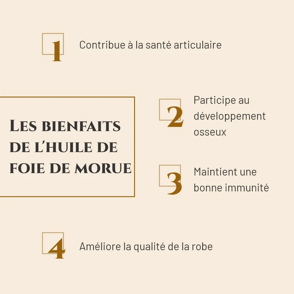 Huile de foie de morue complément nutritionnel cheval 1 L articulations immunité oméga 3 vitamines A D marque française