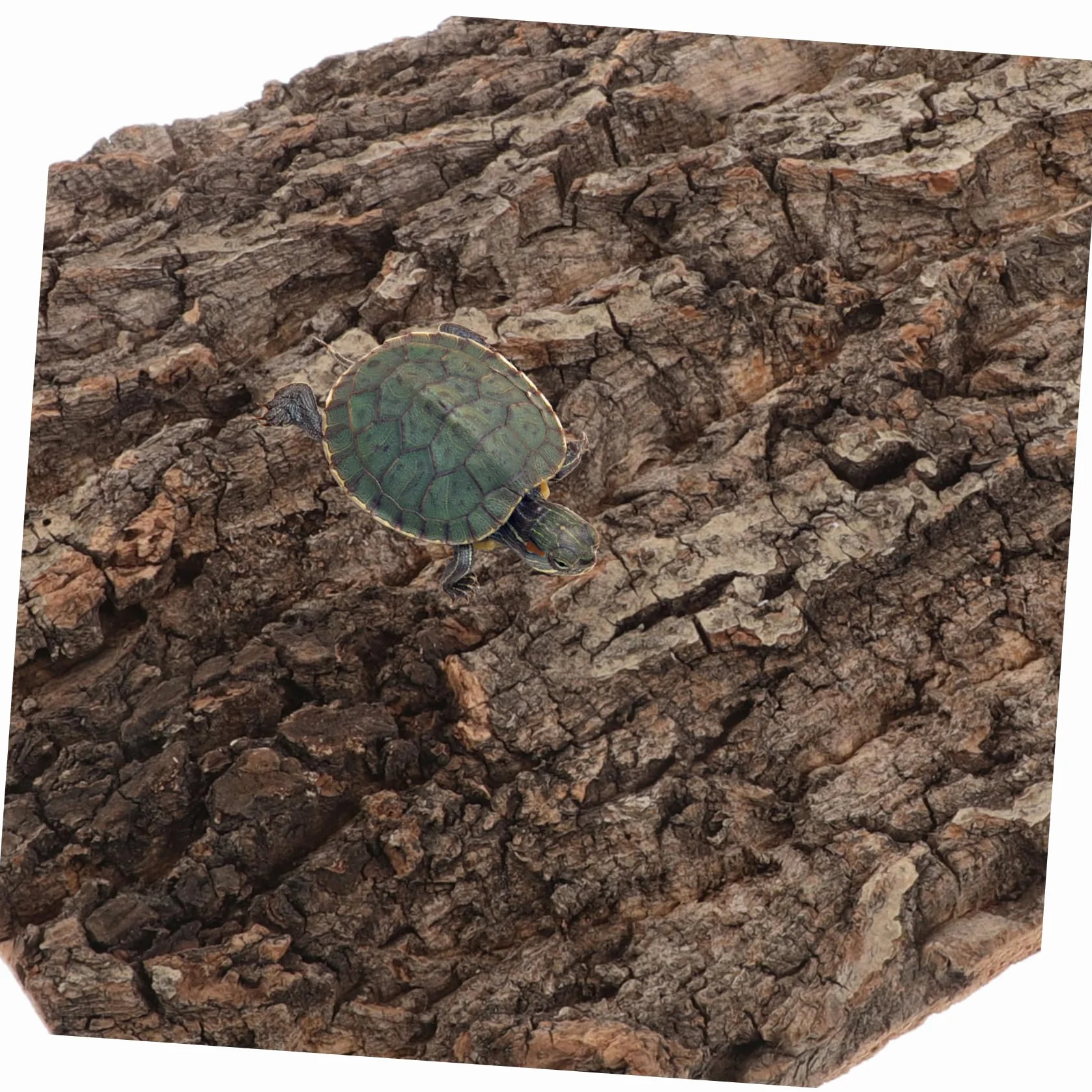Kisangel Plaque De Décoration Écorce De Liège Naturel pour Terrarium Et Aquarium Arrière-Plan Écorce pour Reptiles Et Poissons Installation Facile Et Esthétique