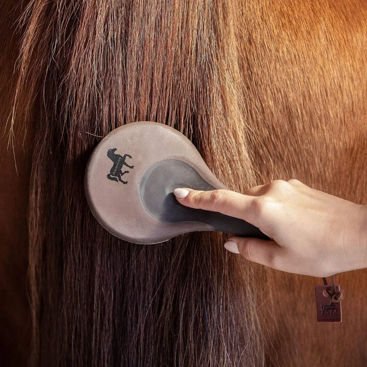 Animalon brosse pour crinière et queue de cheval peigne accessoires de soins