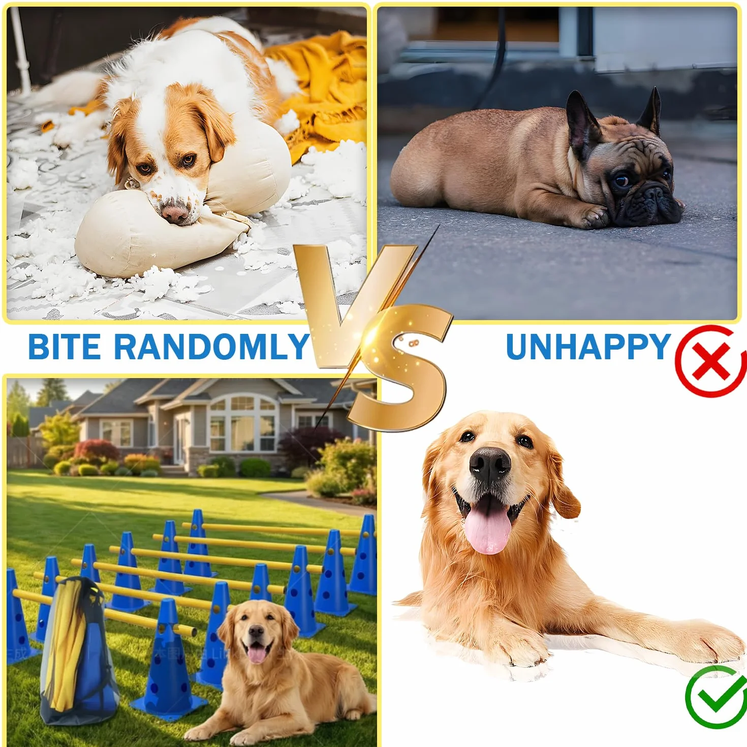 Kit d'obstacles Agility pour Chien 5 Pièces Haies d'Entraînement 23cm Réglable Bleu