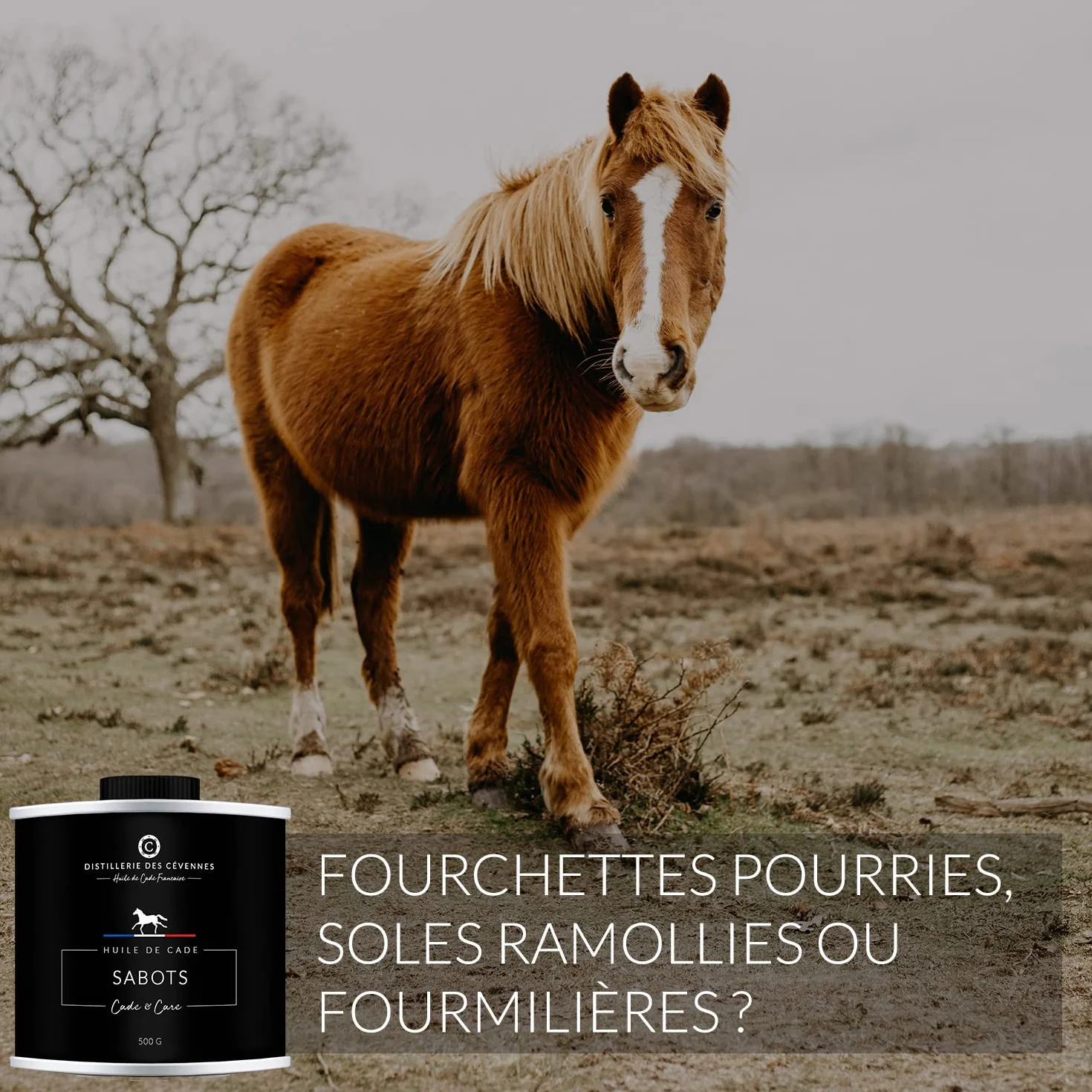 Huile de Cade pour Chevaux Soin des Sabots 500g Fabriquée en France
