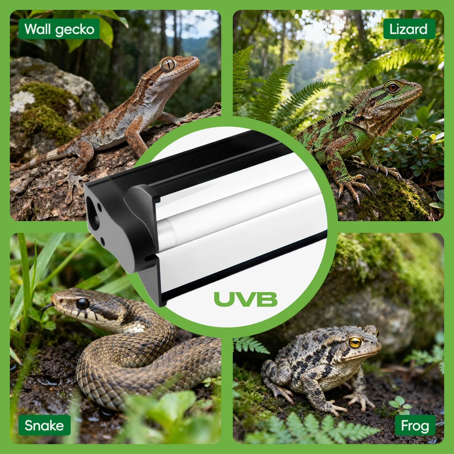Kit d'éclairage UVB T5 8W 10.0 pour reptiles tropicaux et déserts