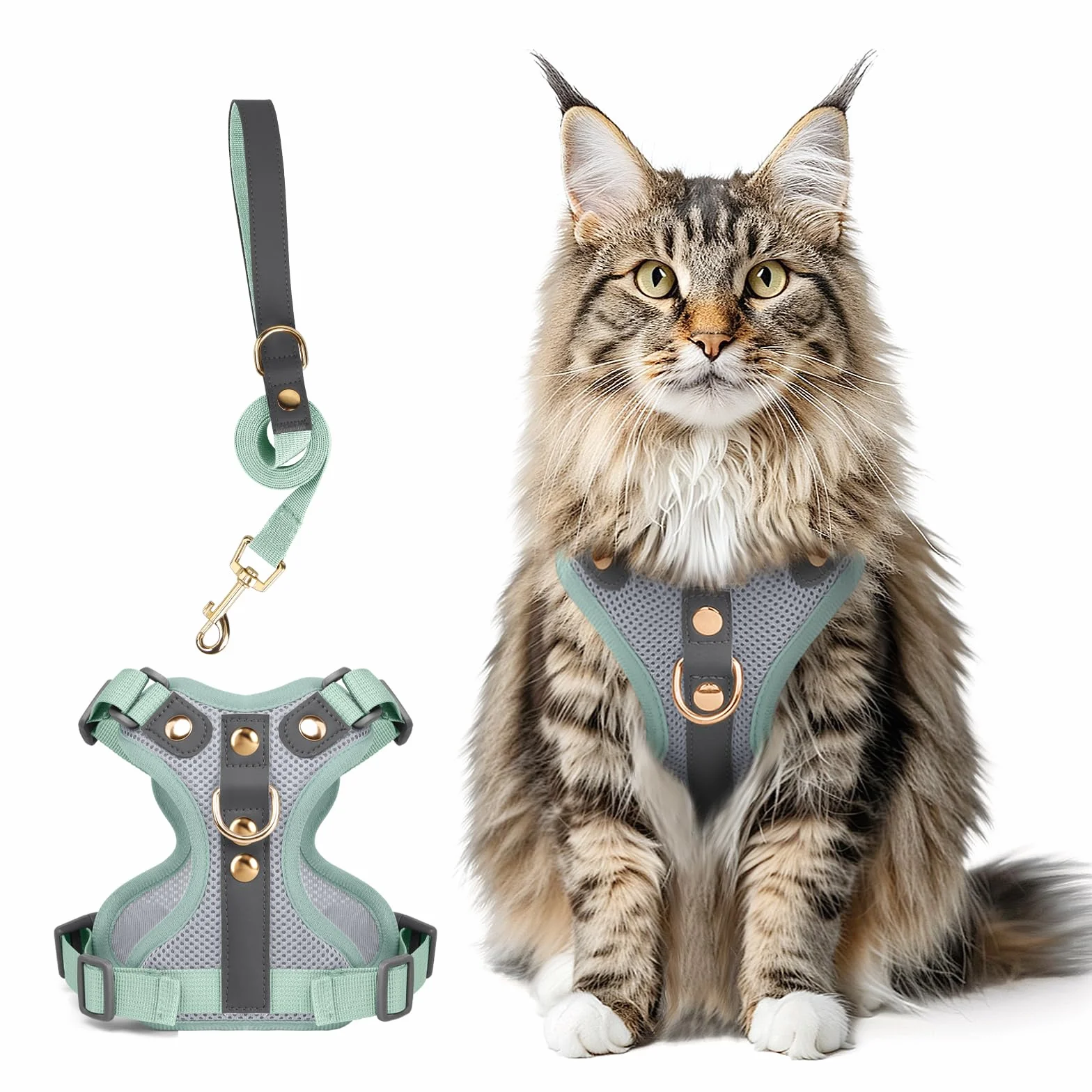 Harnais Anti-Fuite pour Chat avec Laisse, Bordure en Cuir Microfibre, Réfléchissant Réglable Respirant