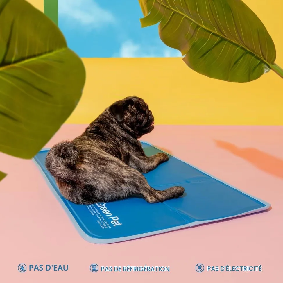 THEGREENPETSHOP - Cool Pet Pad – Tapis Auto-refroidissant, à Activation par Pression, pour Chiens et Chats de 9,5 à 20,4 kg, en Gel Non Toxique, Pas Besoin d’Eau