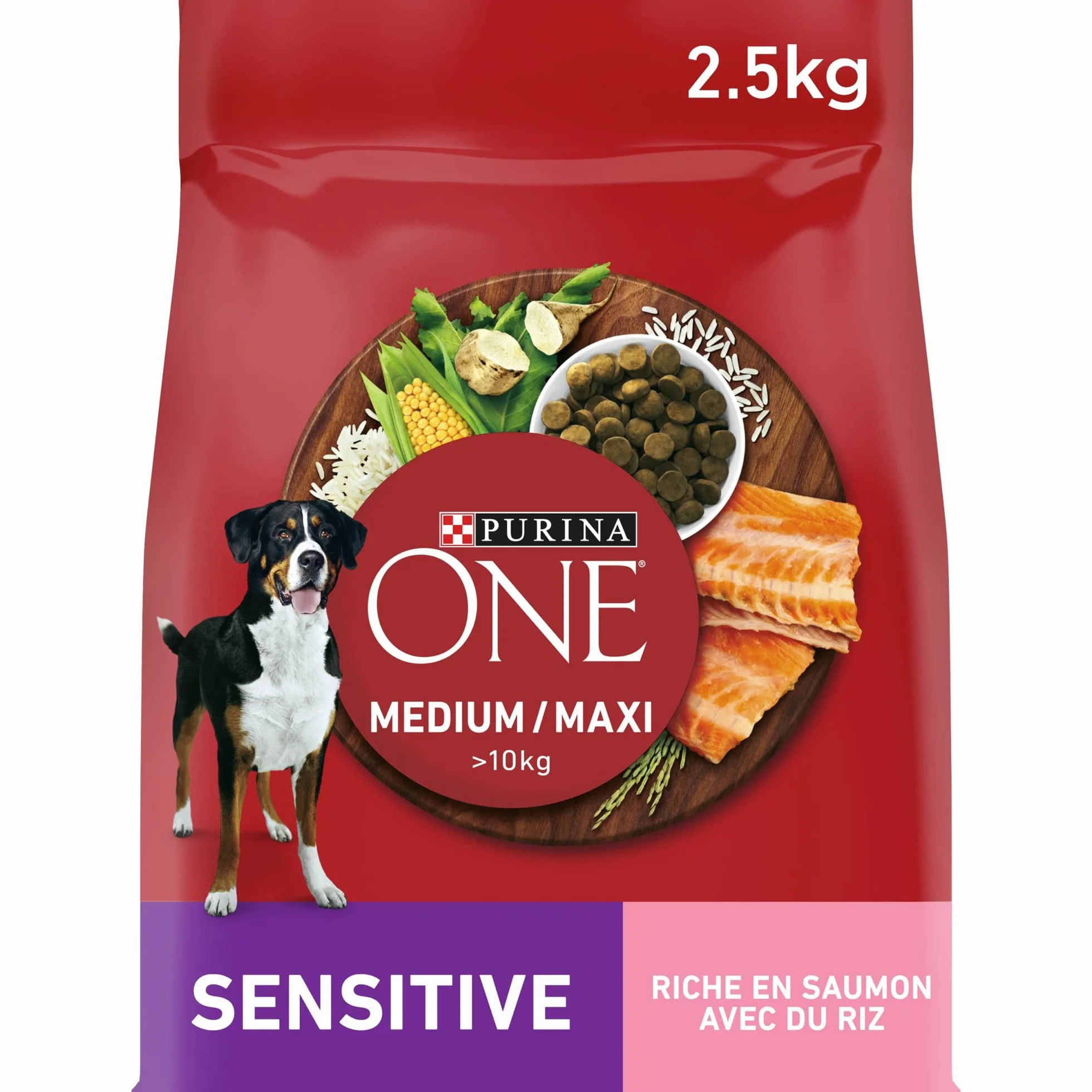 PURINA ONE Sensitive Croquettes Chien Adulte Saumon 2,5 kg