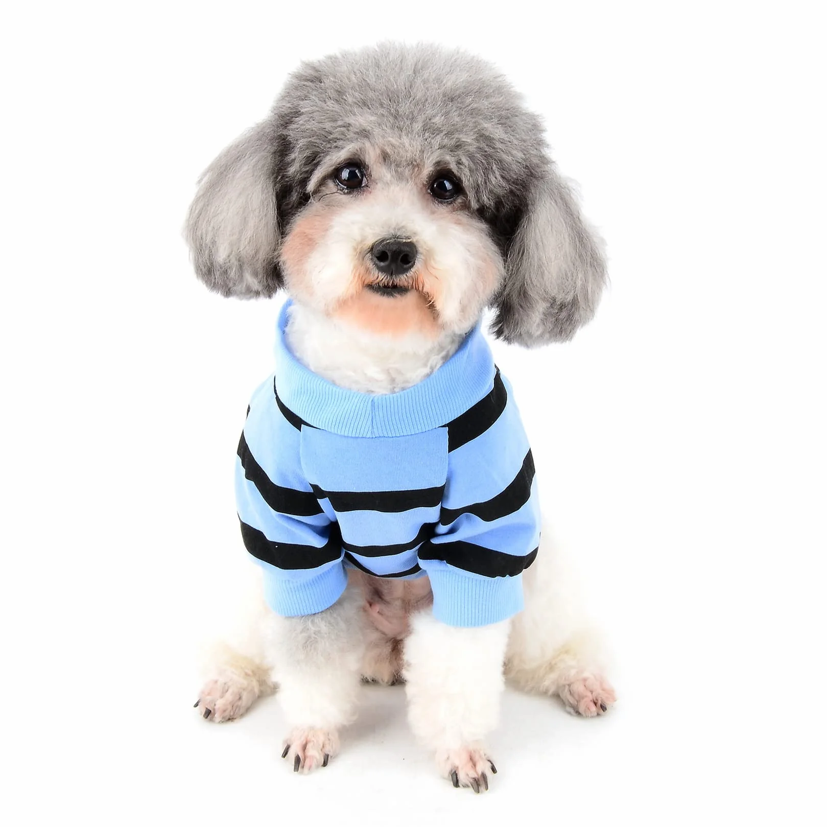 Zunea Chemise Chien T-Shirt Rayures Vêtement Paillettes Cœur Manches Courtes Coton Doux Chihuahua Bleu XS