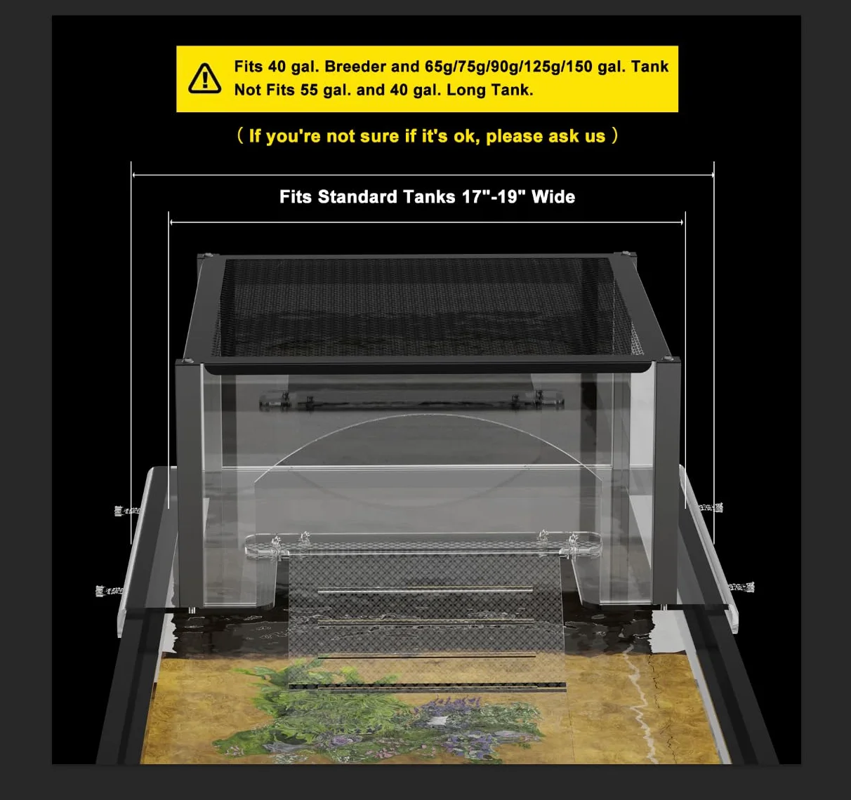 Plateforme pour tortues aquatiques 200L avec rampe, accessoire réservoir