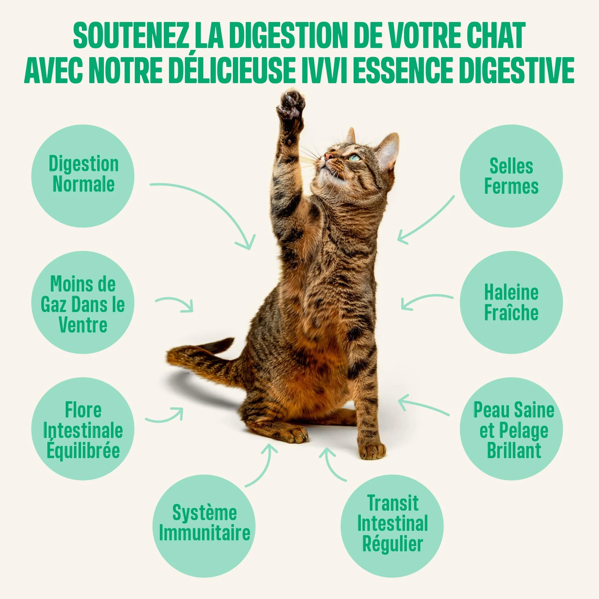 ivvi Essence Digestion pour Chats – 30 Snacks crémeux Thon courge graines de Lin postbiotique – Flore intestinale – 450 g