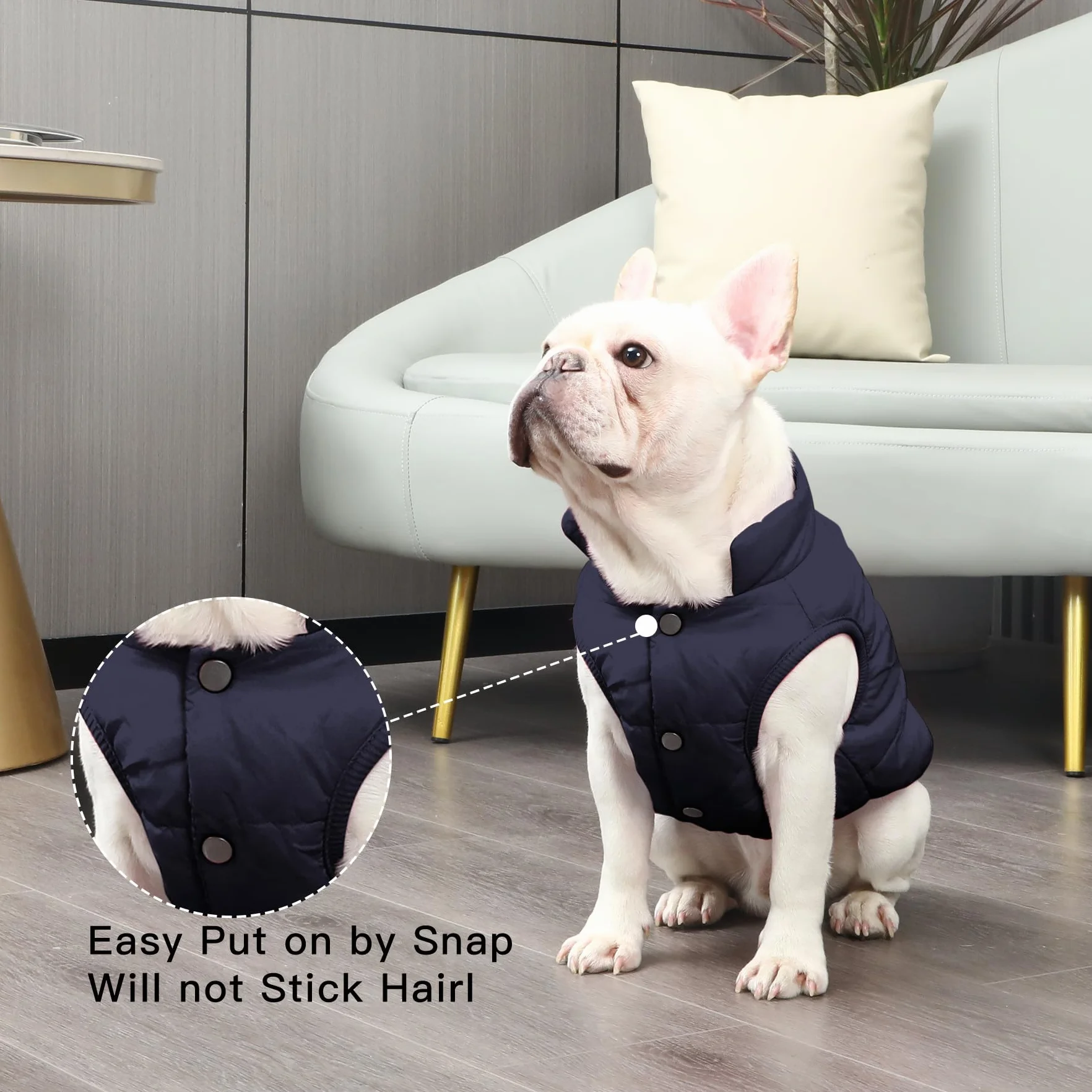 Joydaog Manteau coupe-vent chien 2 couches doublure polaire extra-chaude