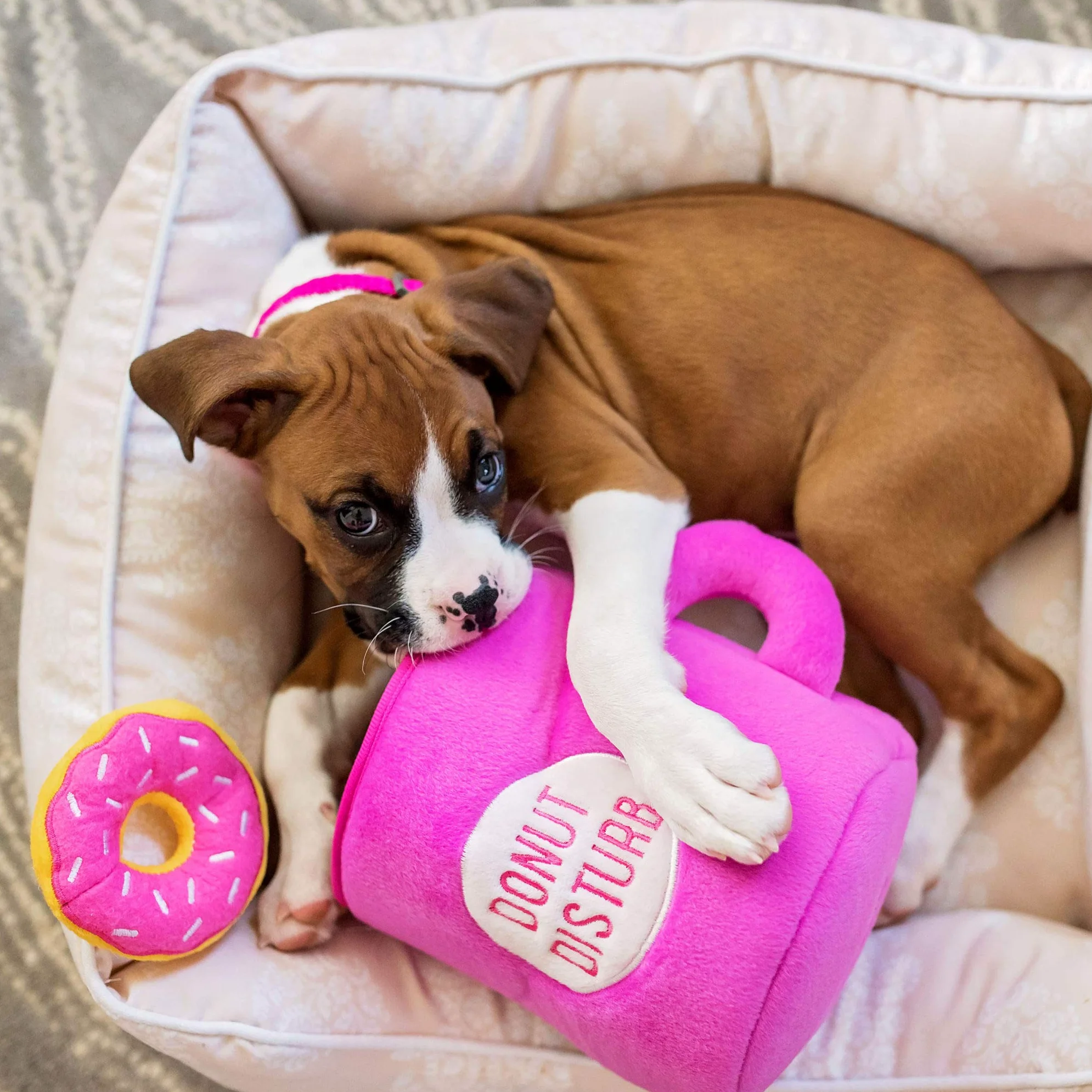 ZippyPaws - Food Buddies Burrow Jouet interactif couineur en Peluche pour Chien Motif café et donutz