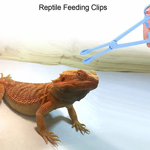 Pinces en Plastique pour Reptiles de Terrarium Outil d'Alimentation Ciseaux pour Tortues Lézards