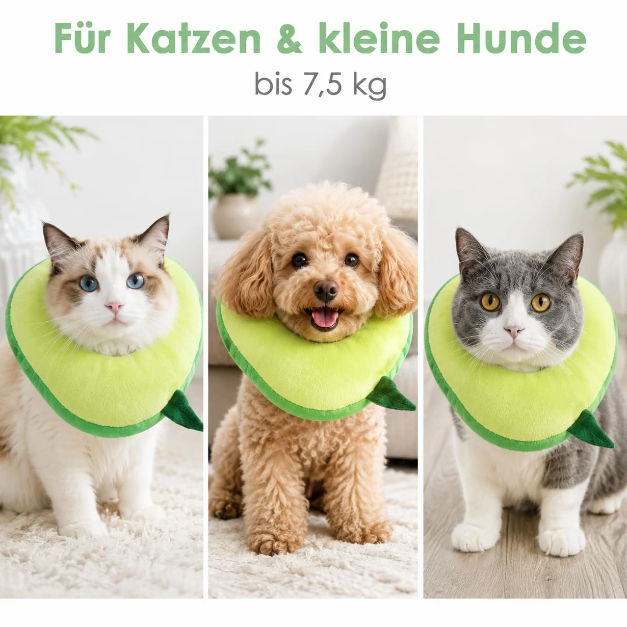 Collerette Anti-Léchage Souple pour Chien Chat Réglable Taille L 28 cm