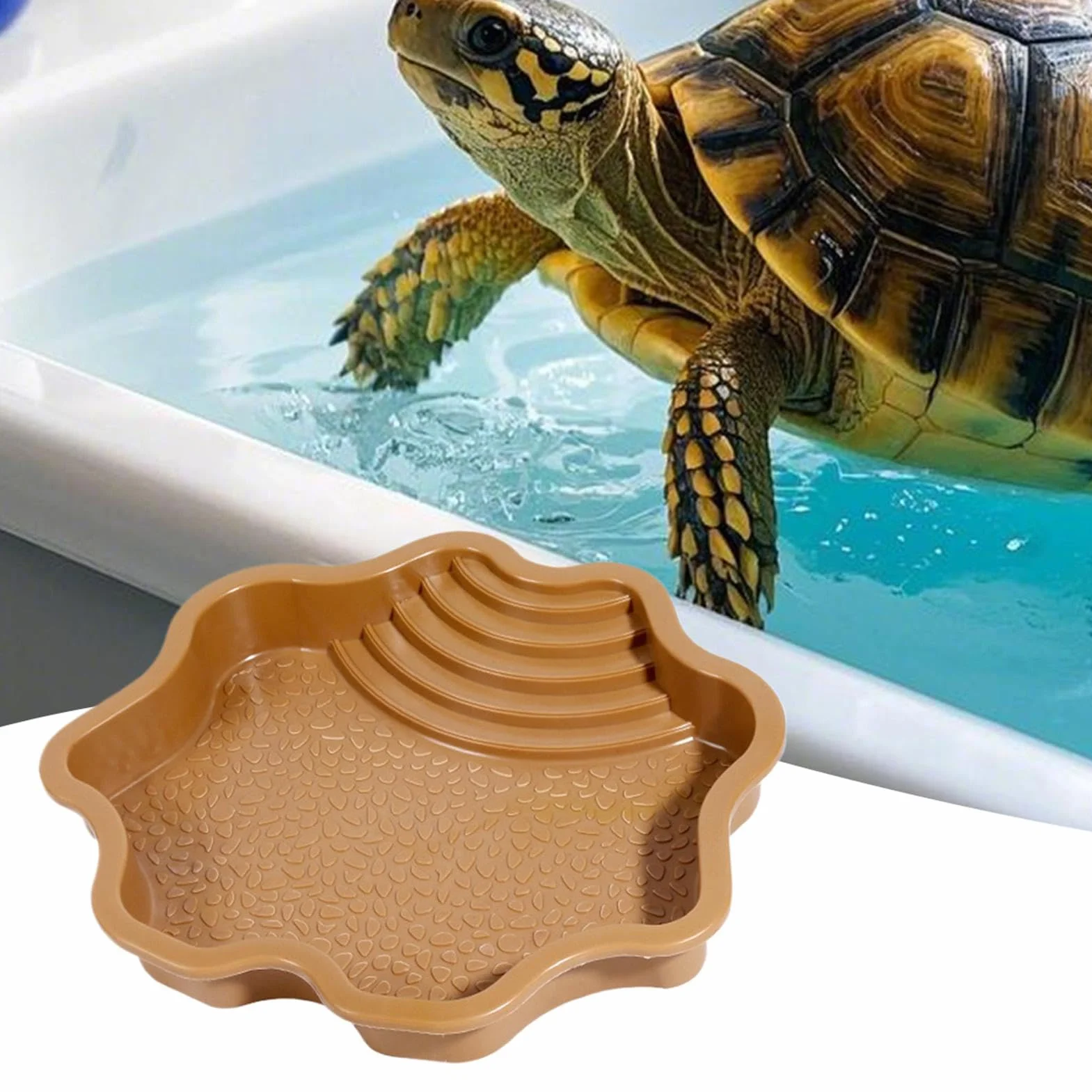 Mangeoire pour Reptile | Mangeoire d'eau pour Tortue avec Rampe | Accessoires pour Habitat de Reptile pour Salamandre, Dragon Barbu, lézard, Grenouille, Serpent, Gecko