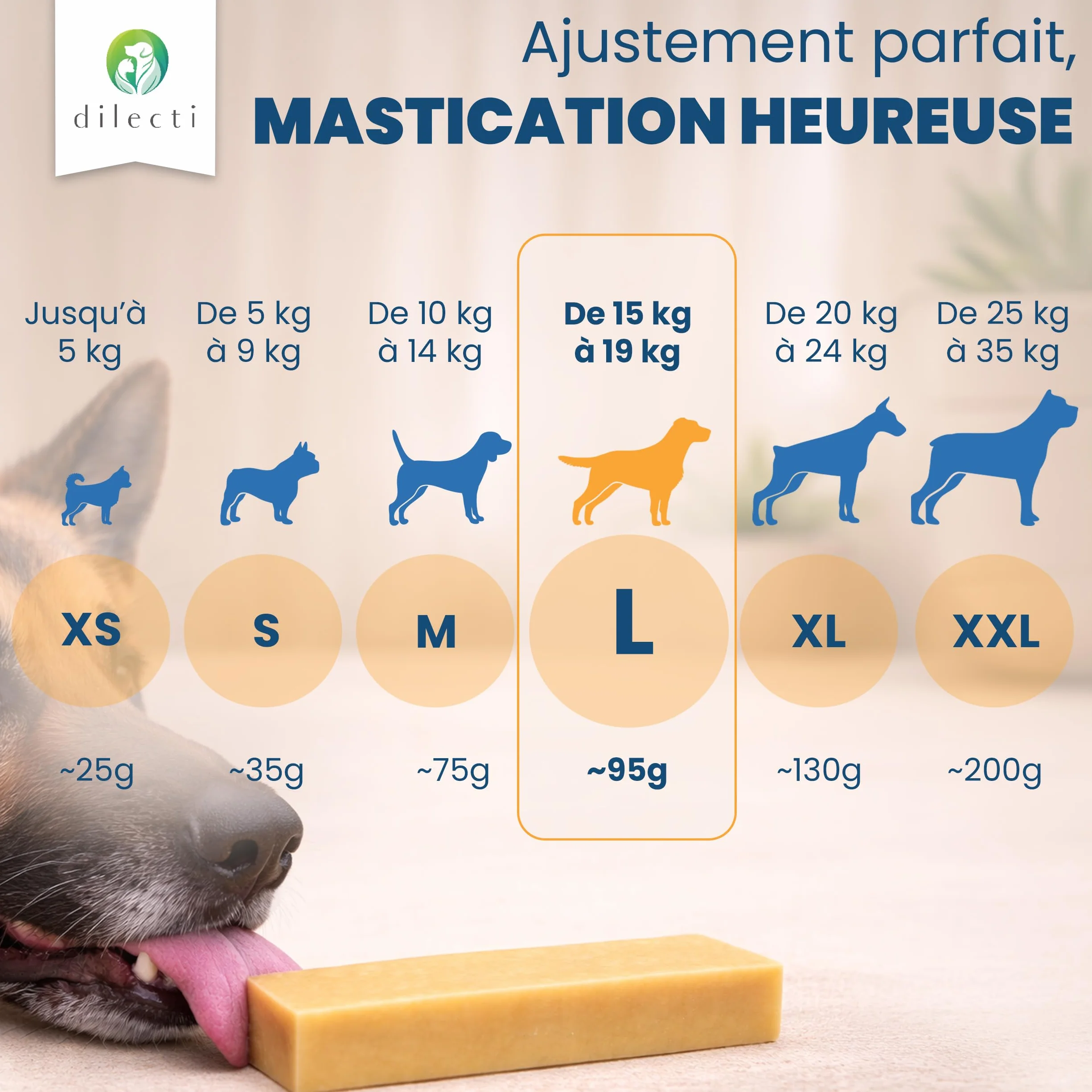 Dilecti Os au Fromage Naturel pour Chiens Friandises à Mâcher Taille L Lot de 3