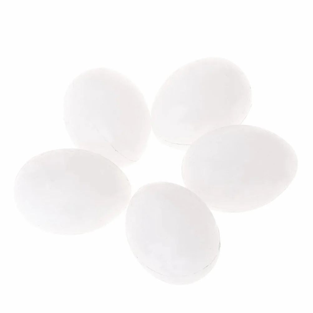 Lot de 5 œufs solides pour perroquet - Blanc - Joues vertes - Loriquet - Colombe et calopsitte