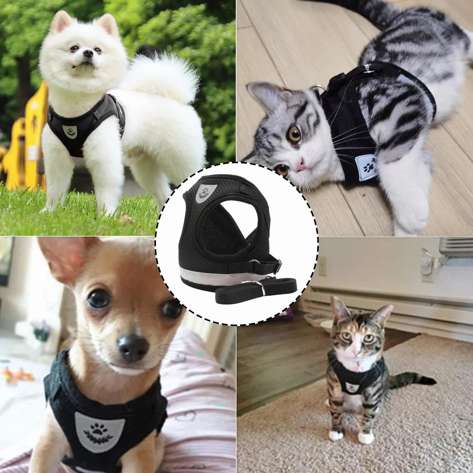 Harnais Chat avec Laisse Anti évasion Réfléchissant Réglable pour Chiens Chihuahua Noir M