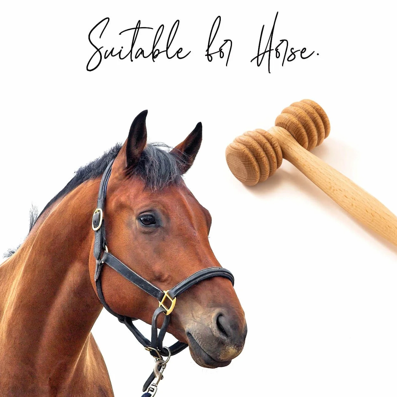 Masseur en Bois pour Animaux Rouleau de Massage Chien Chat Cheval Brosse Poils Courts Longs
