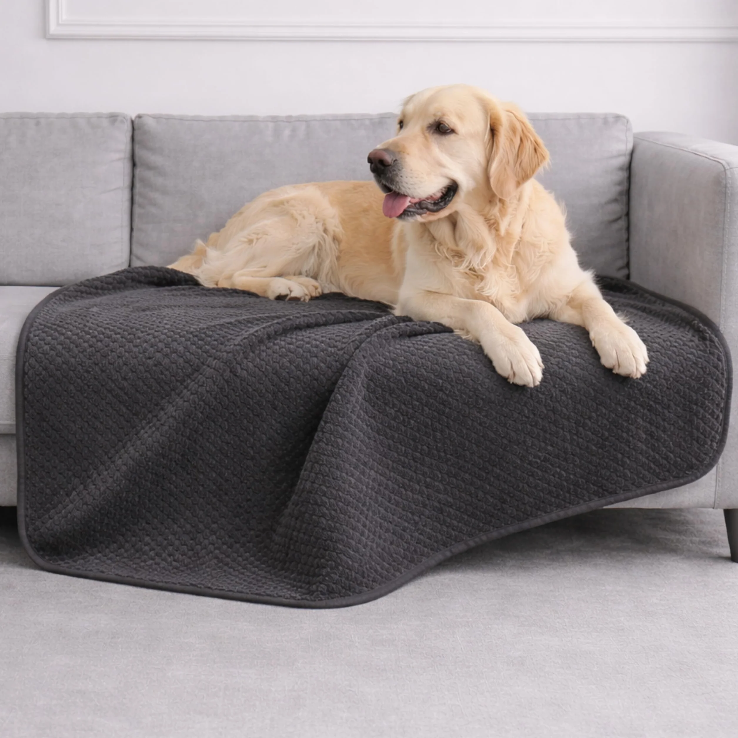 Dreamzie Couverture Chien Imperméable 100x120cm Polaire Réversible Lavable en Machine Gris foncé