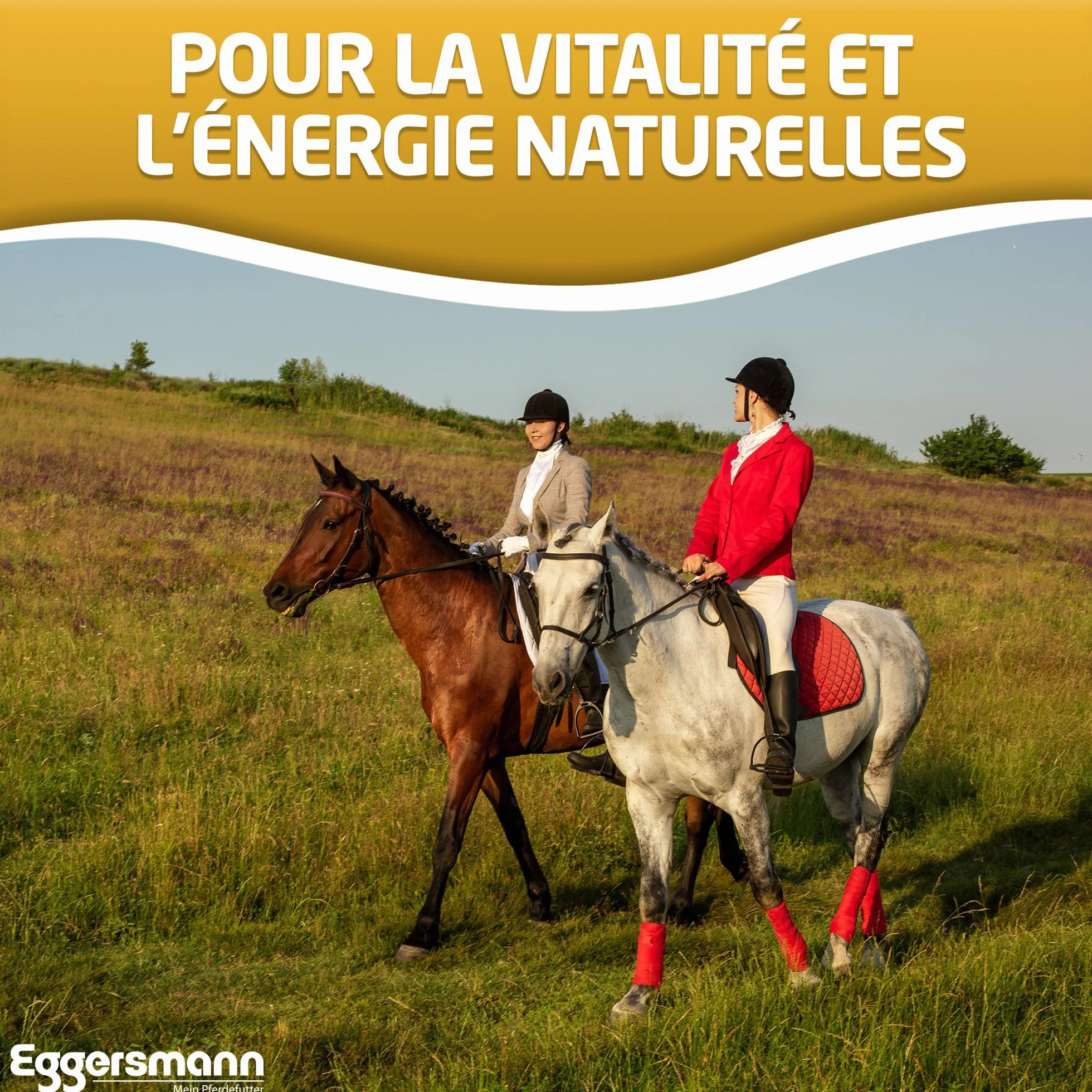Eggersmann Nourriture pour Cheval Flocons de maïs 15 kg