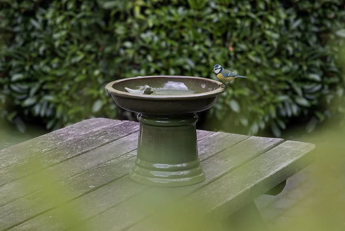 Petit Bain d'oiseau en céramique sur Pied Vert