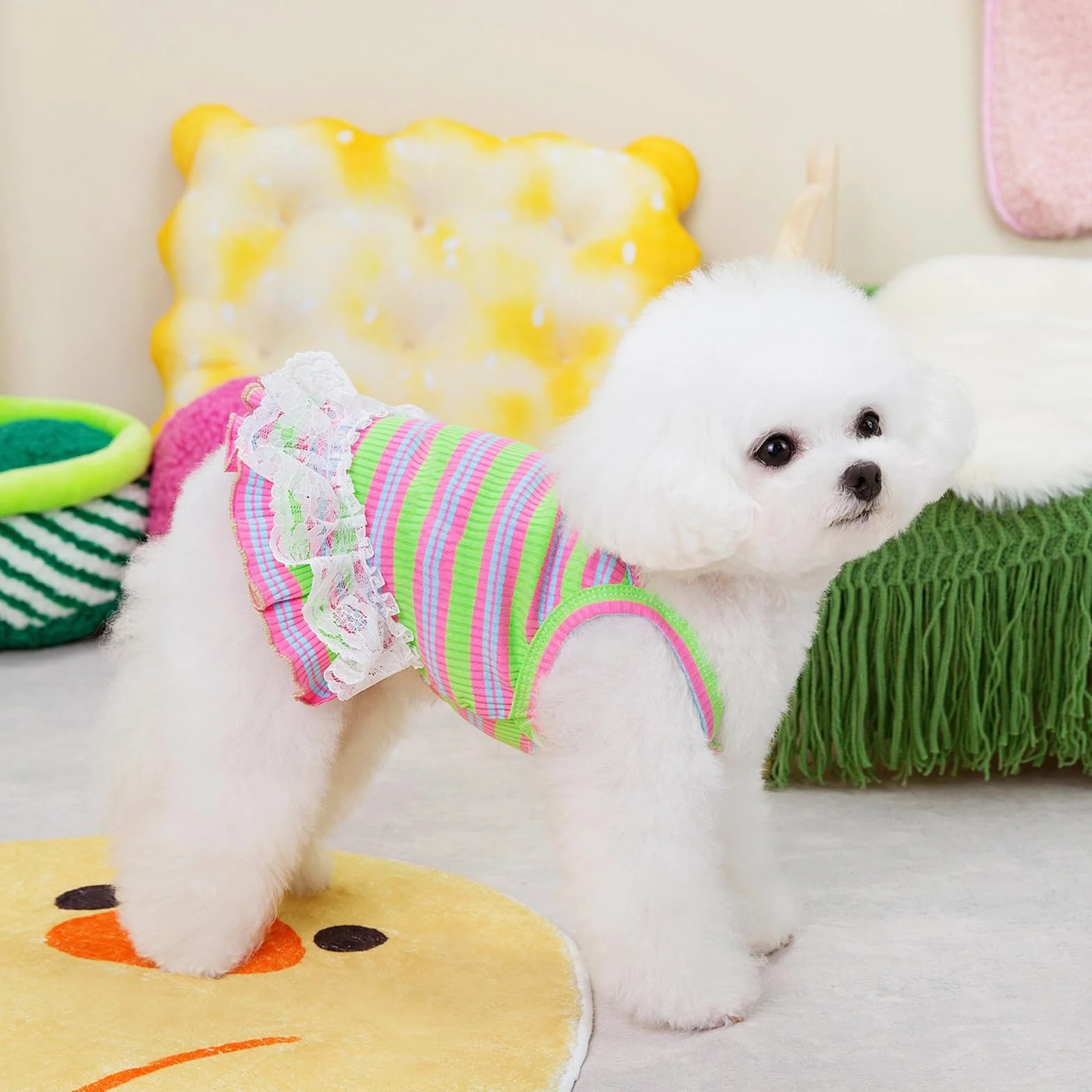 Winmany Vêtement d'été pour chien taille S vert