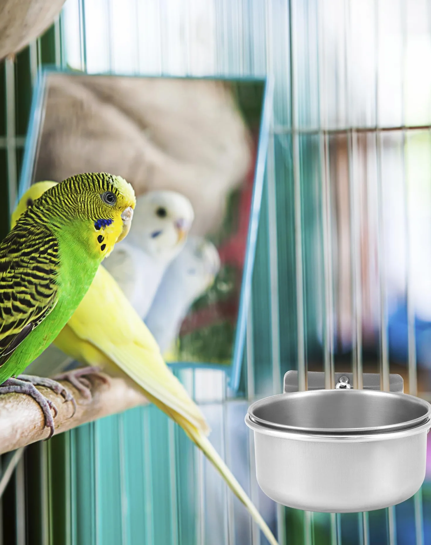 QWORK Lot de 2 Gamelles à Oiseaux en Acier Inoxydable à Suspendre, Accessoires pour Cage à Oiseaux (10 x 4,5 cm)