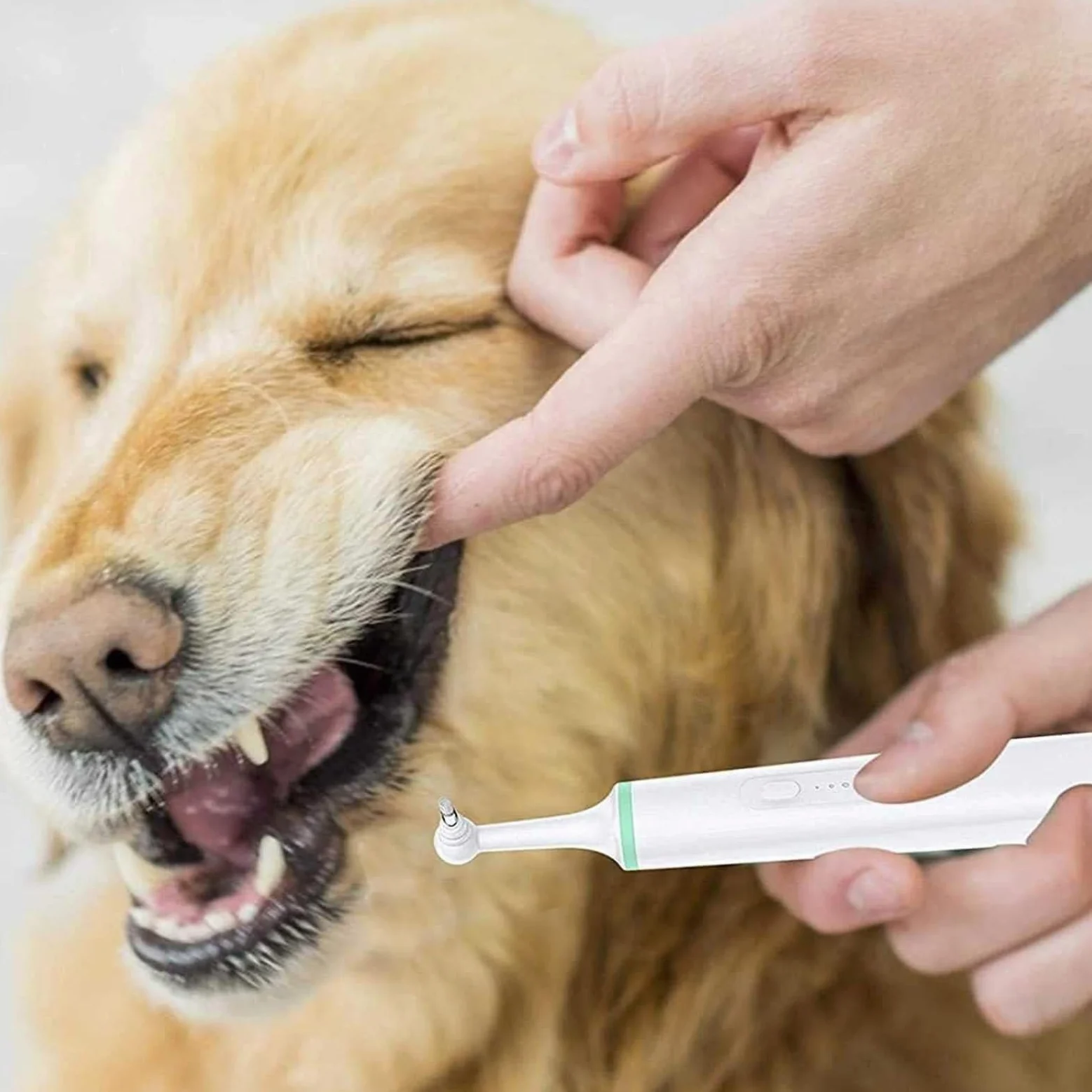 Pet Electric Toothbrush Tooth Removal Dog Mouth Cleaning Tool - Ultrasonic Toothbrush for Dog with 4 Brush Heads for Stain Eraser Tooth Polisher