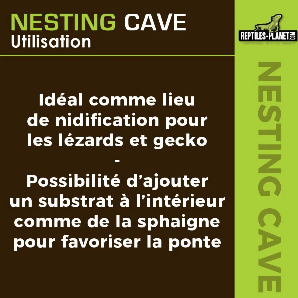 Reptiles Planet Nesting Cave M Nid de Ponte pour Gecko 12 x 10,5 x 7,7 cm