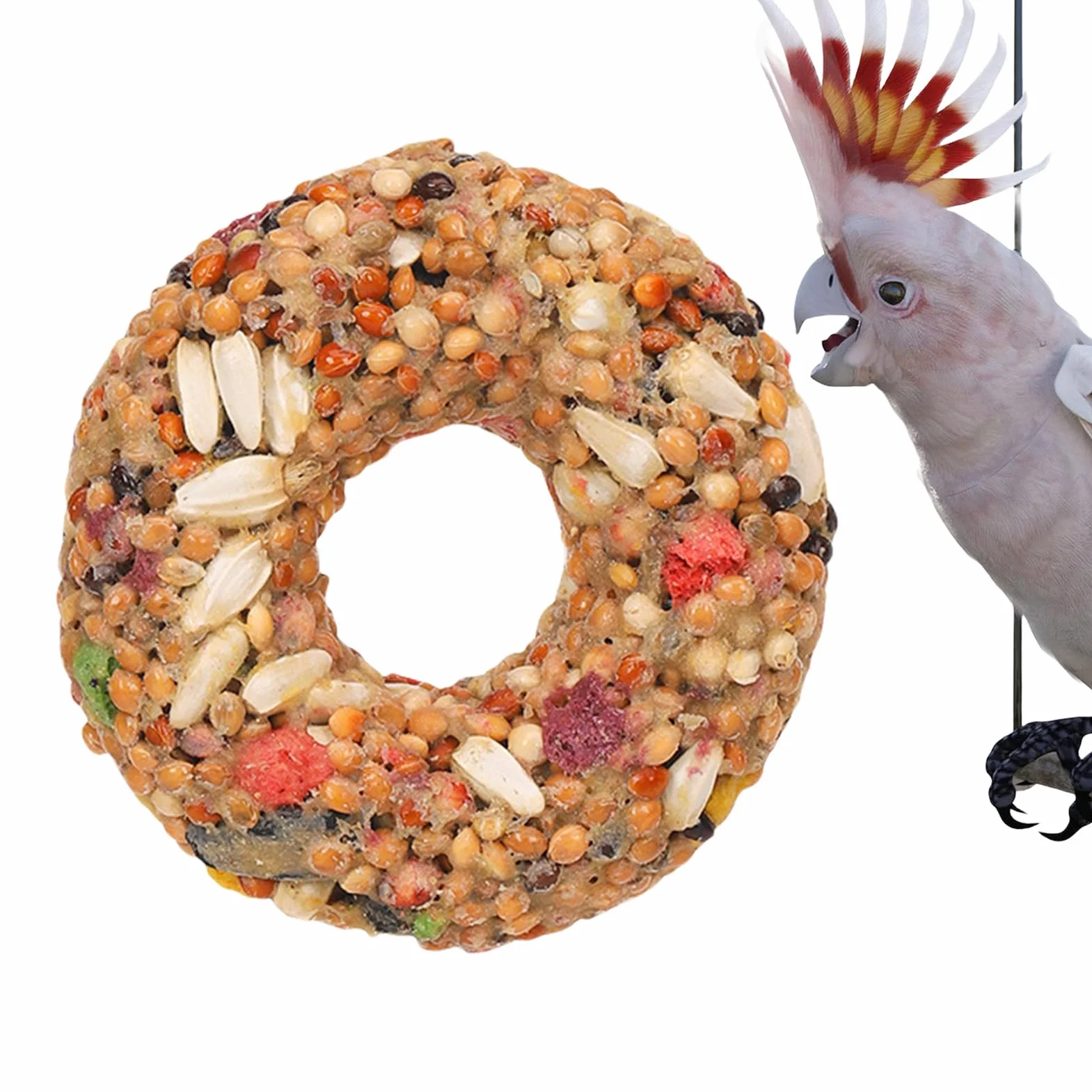 Friandises pour Calopsittes Anneau À Mâcher en Grains Enrichissement Jeu Perruches Inséparables Volière