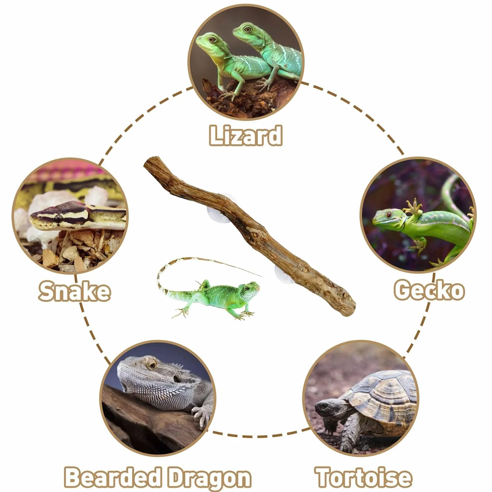 Branches d'escalade pour reptiles 30 cm Tronc d'arbre en bois naturel Décoration terrarium Antidérapant Lézard Serpent Gecko