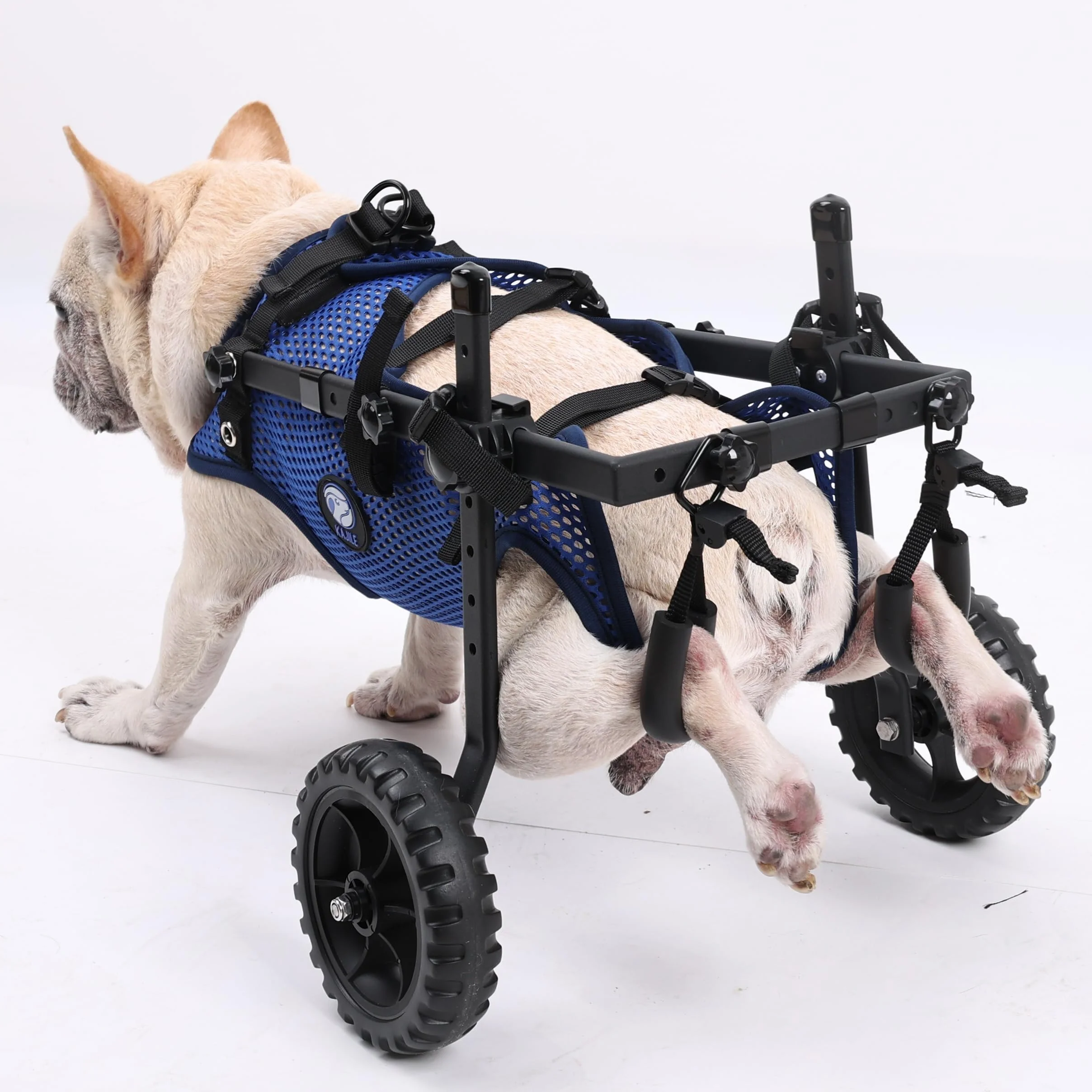 Fauteuil Roulant Pliable et Réglable 2 Roues pour Animaux,Bleu,M | Rééducation des membres postérieurs chez les animaux de compagnie, poussette pour animaux, soutien des pattes arrière