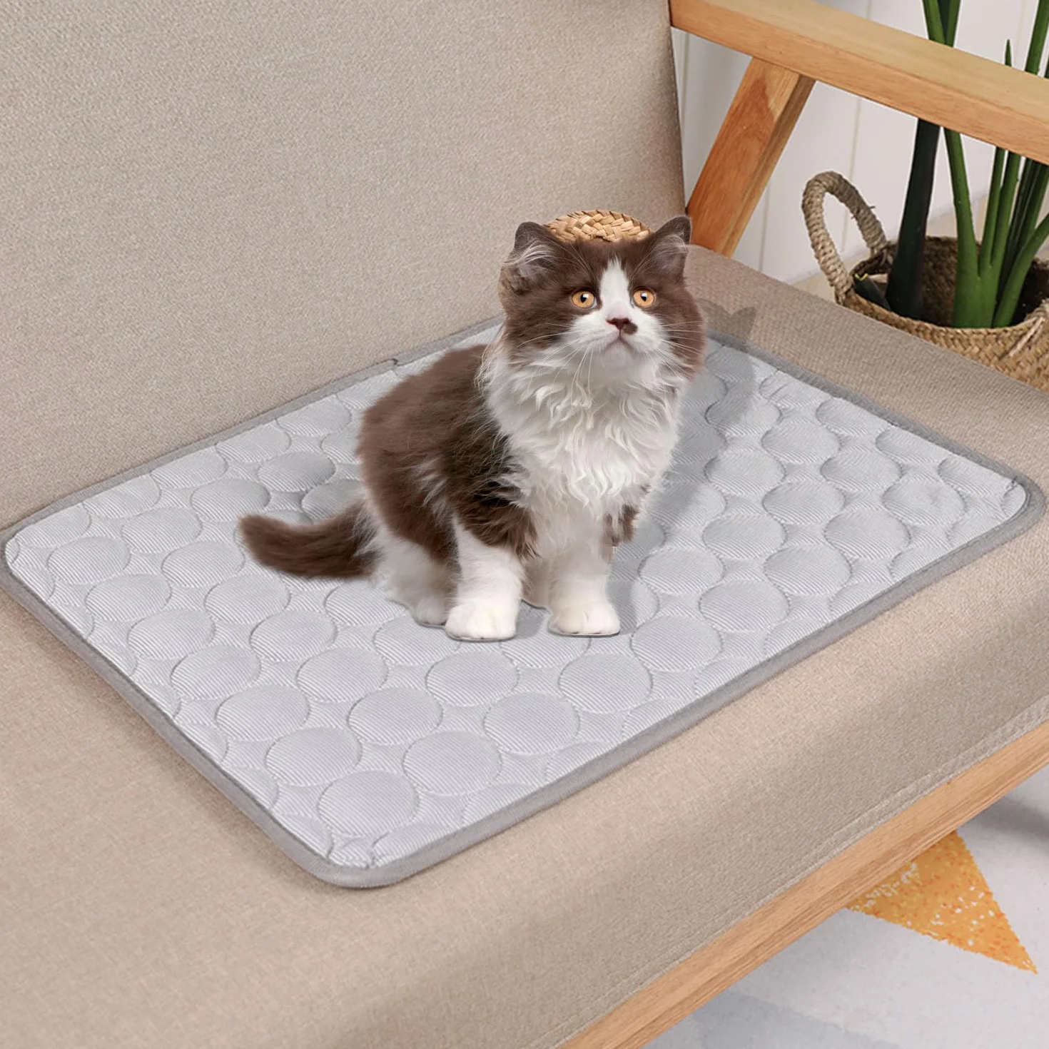 Tapis rafraîchissant pour chien et chat 62 x 50 cm