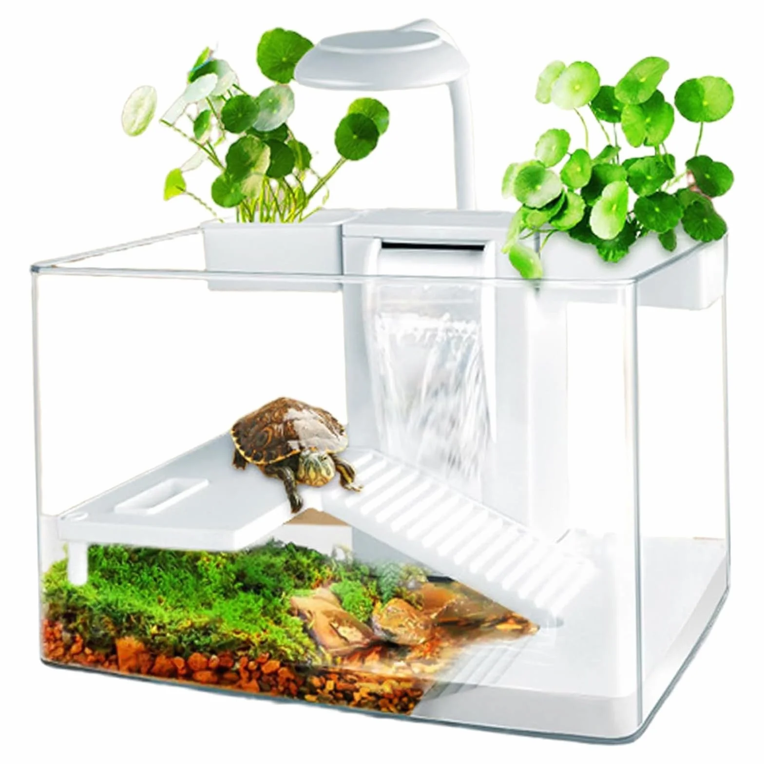 Kit d'habitat pour Tortues avec Filtre à Eau Complet et Zone Multifonction