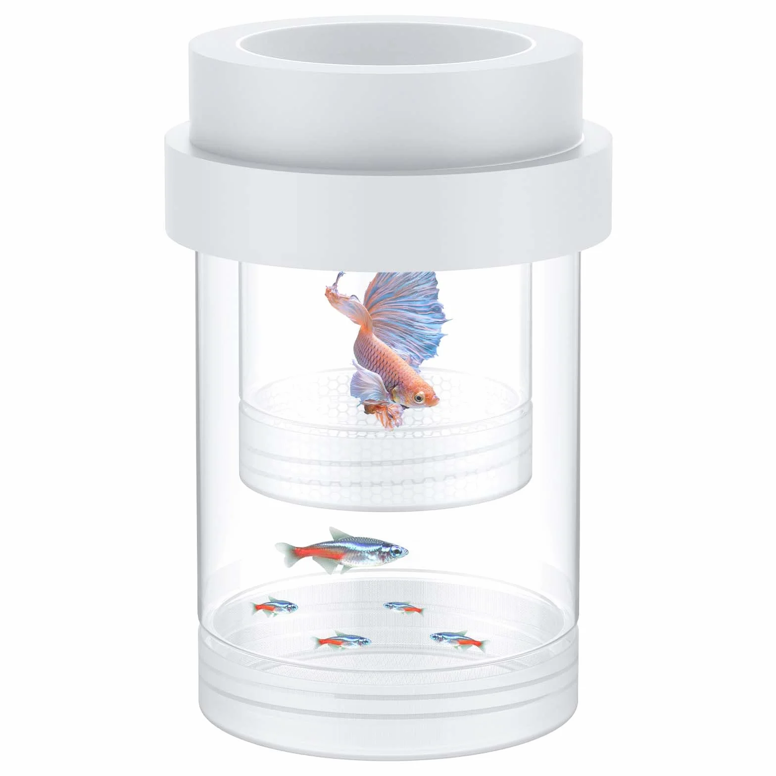 Pawfly Boîte d'élevage pour Aquarium Flottante Reproduction Guppys Séparateur Alevins Incubateur Plastique Crevettes Betta Poisson-Clown Moyen