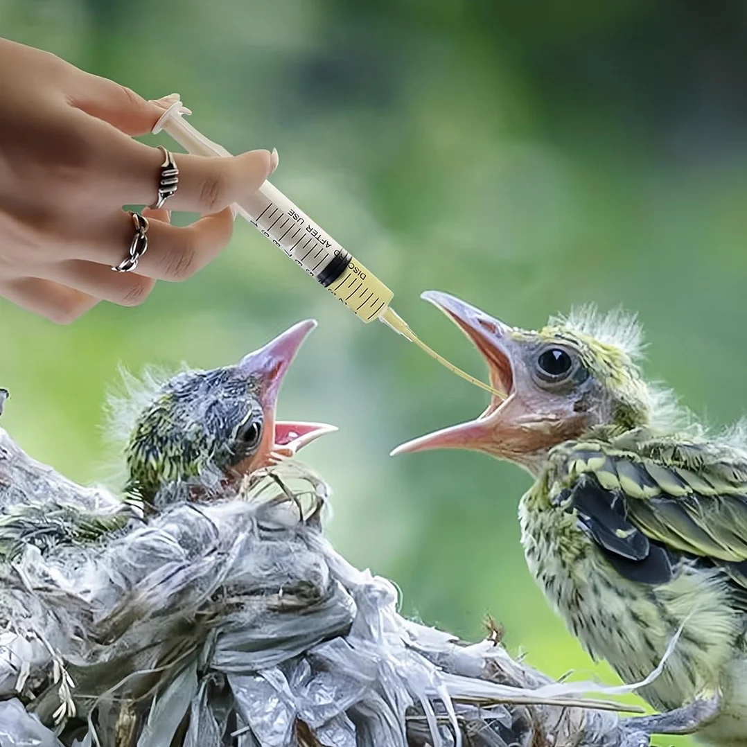 JEYORZY Sondes d'alimentation pour Oisillons, Seringue 10 ML, Bébé Oiseau, Tortue, Colombe Médicaments Liquides
