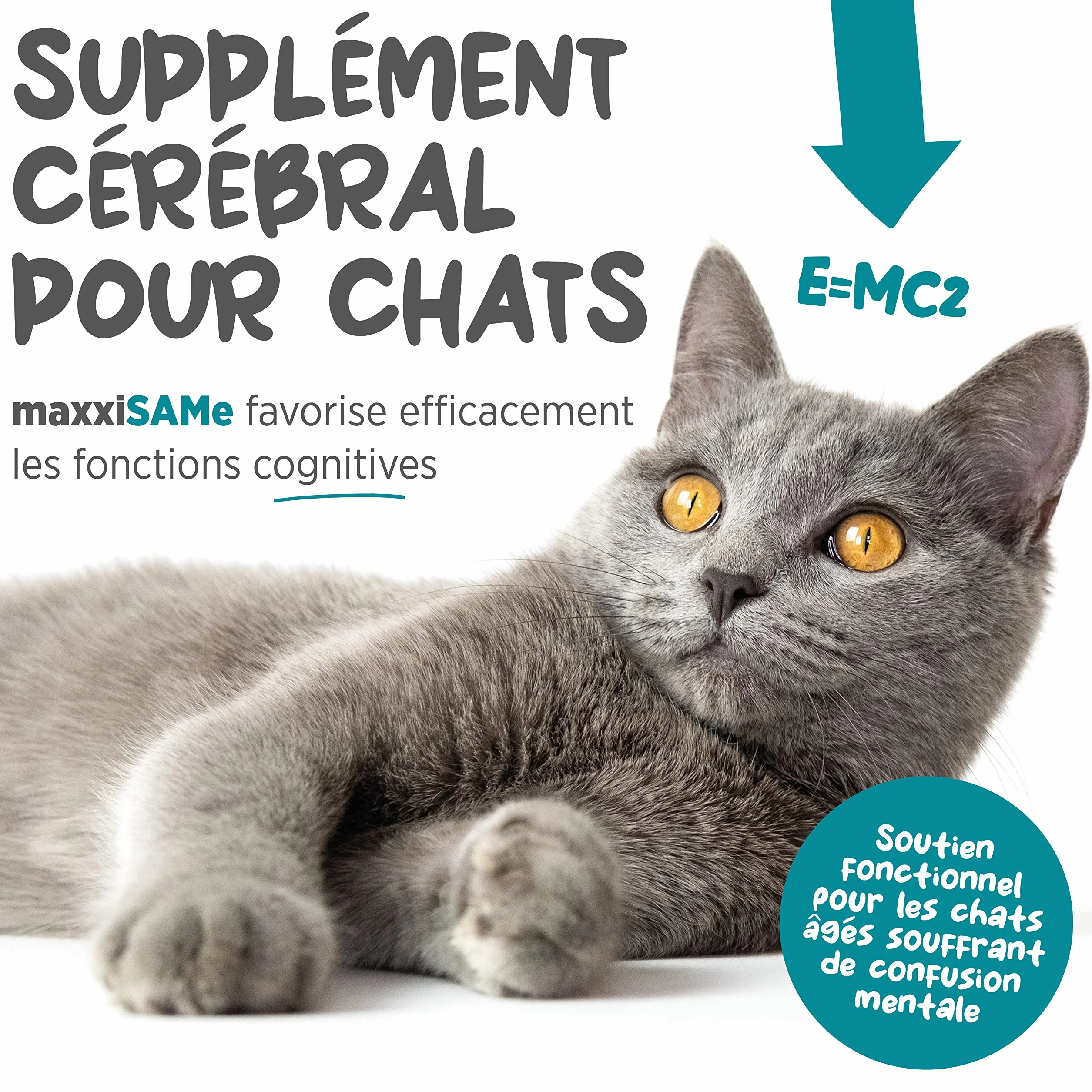maxxiSAMe pour le Soutien du Foie félin et Dysfonctionnement cognitif Chats âgés – Sam-e Supplément Chats – Poudre 90 g