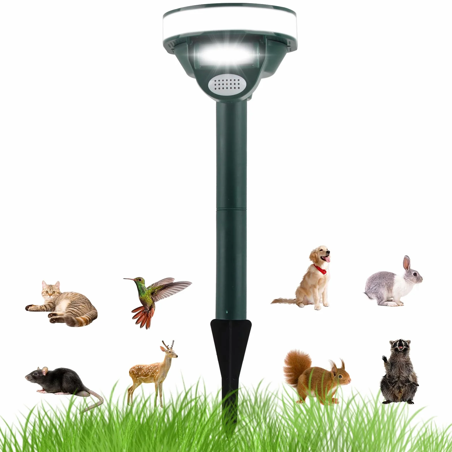 Répulsif pour Chat Solaire Ultrasons IPX4 Anti Martres Chiens Jardin