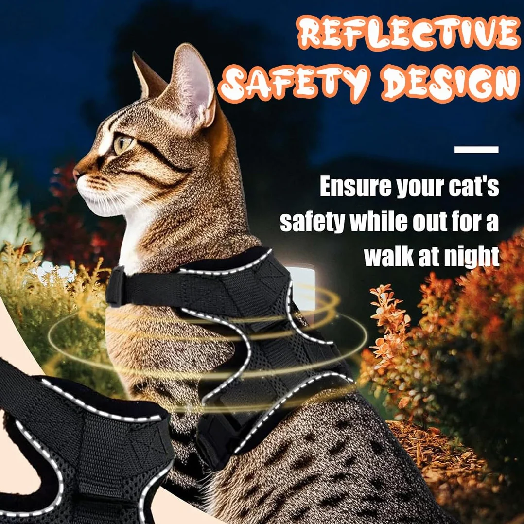 Harnais Pour Chat Noir Xs Laisse Réglable Réfléchissant Gilet Respirant