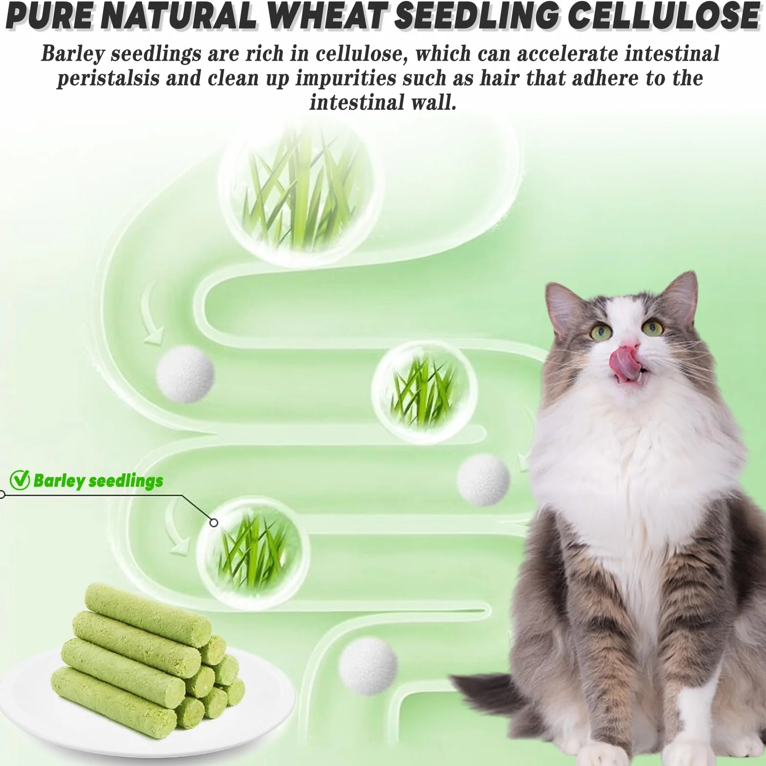 Bâton d'herbe à Chat 12 Pcs Fabriqué à Partir d'herbe à Chat Ingrédients Naturels Améliore la Digestion