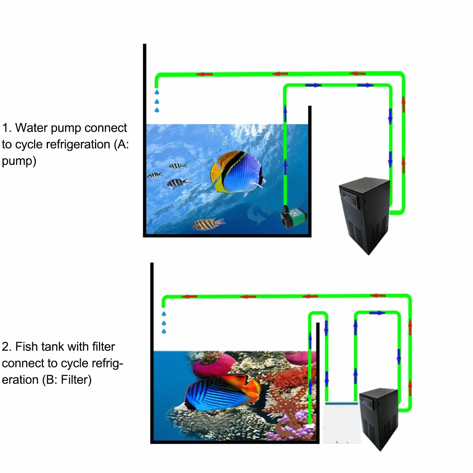 Refroidisseur d'eau Système de Refroidissement Silencieux 70W pour Aquarium Eau Douce et Salée R134a adapté aux Crevettes Coralliennes (Prise UE)