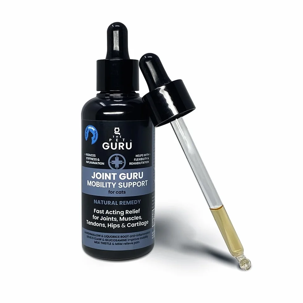 Joint Guru Mobility Supplément pour chat 100 ml soutien articulations tendons hanches anti-inflammatoire