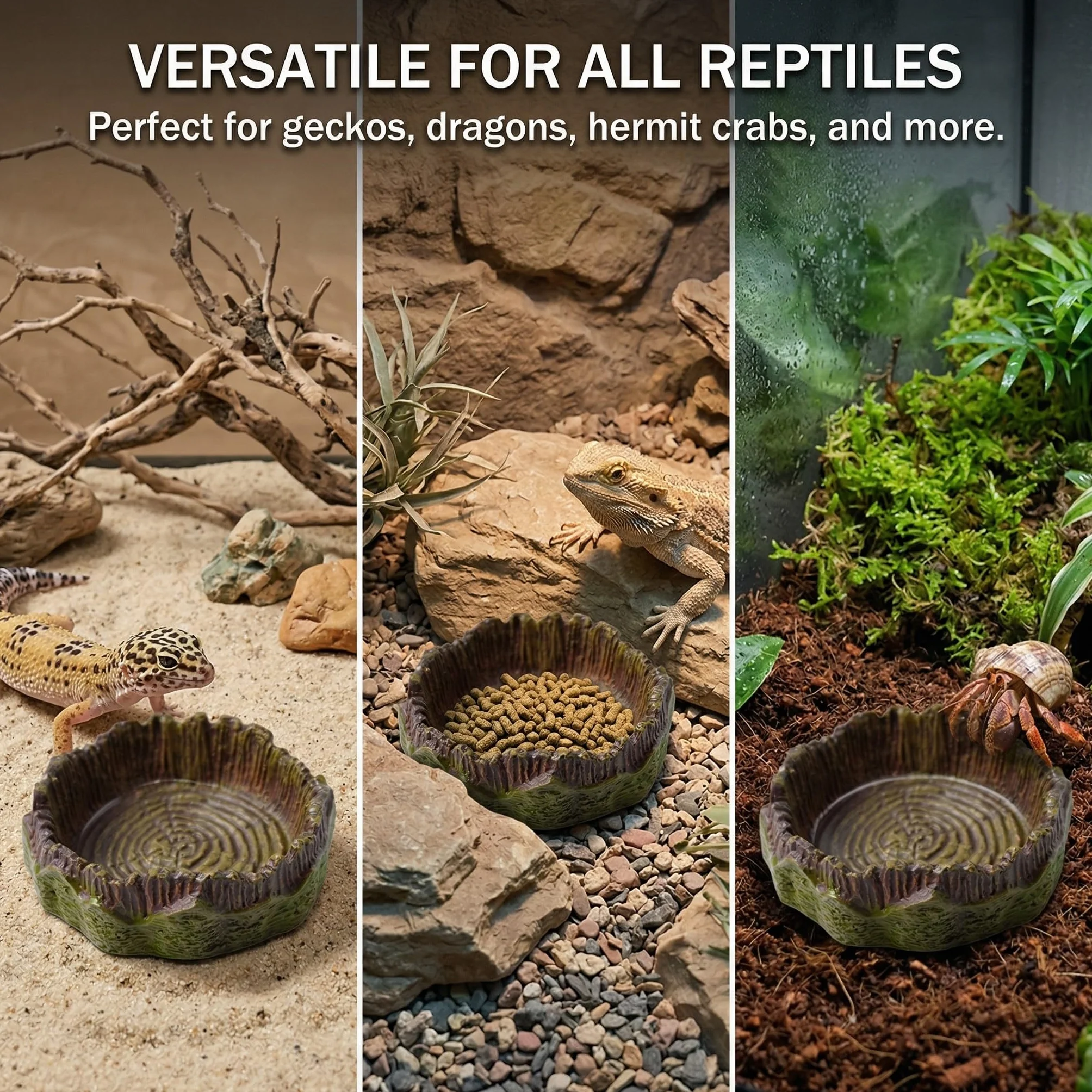 Abreuvoirs en Forme de Souche d'Arbre pour Reptiles, Bol Alimentation Résine Tortue Lézard Gecko Serpent