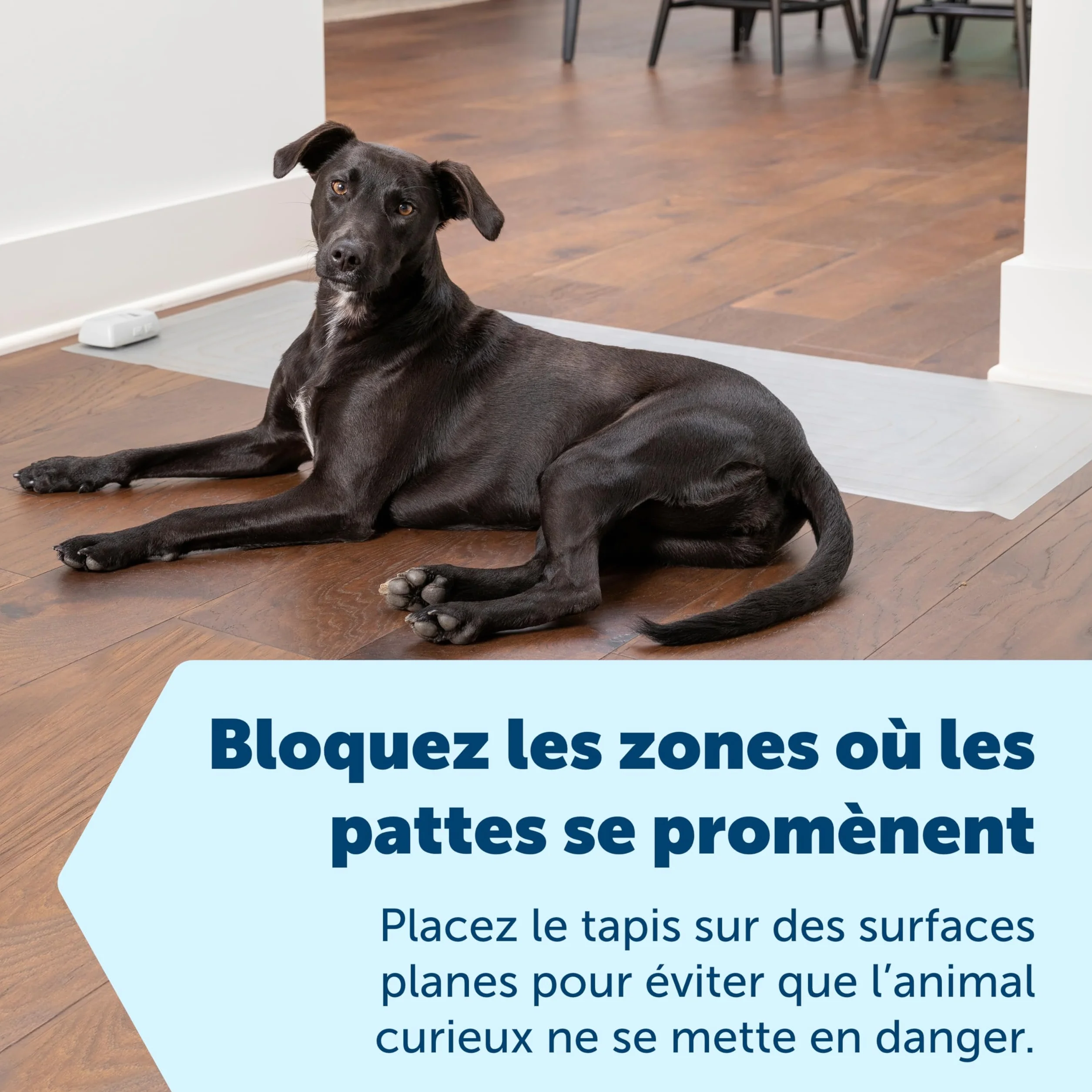 PetSafe Tapis d'entraînement électronique ScatMat Protection Meubles 7 Modes Stimulation électrostatique Taille L