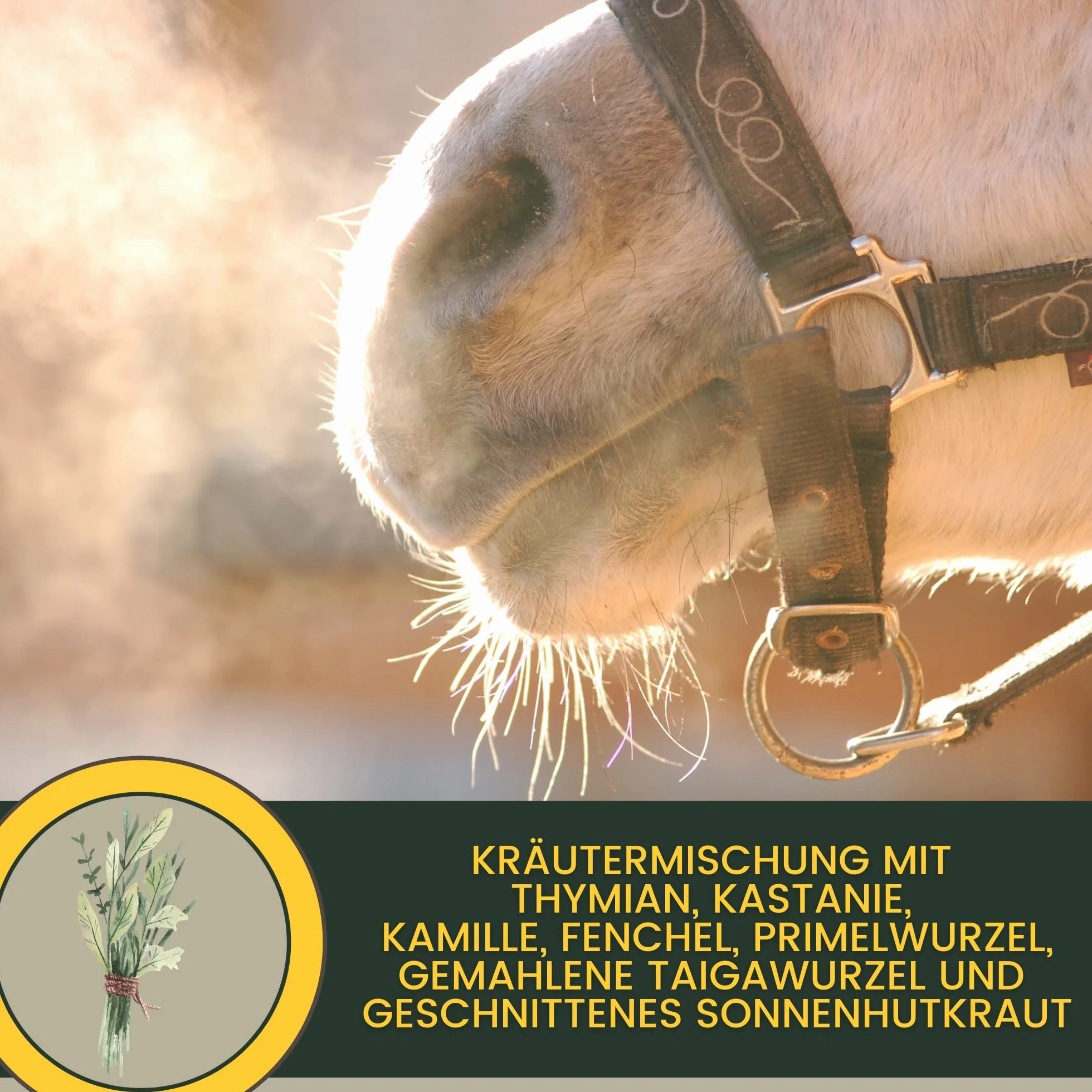 Emma Sirop la toux Cheval - Elixir Herbes Liquide 1L fenouil thym bronchiques remède