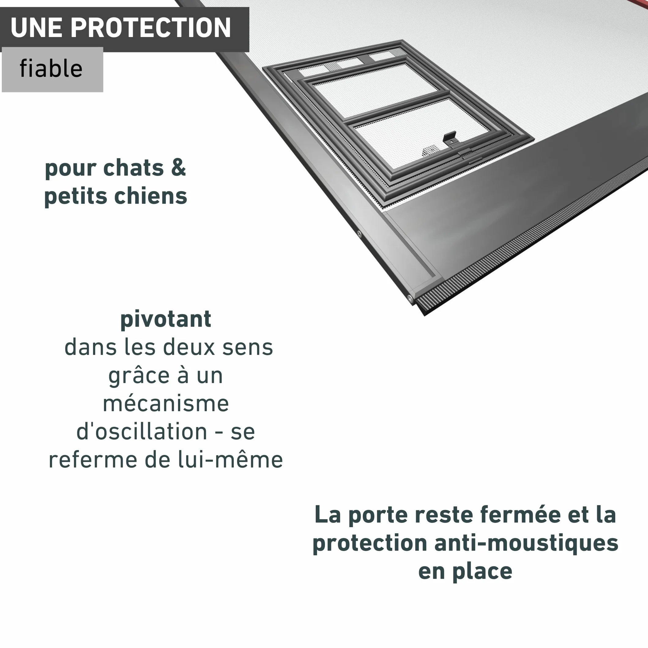 Windhager Chatière Protection Insectes Porte Chat Rabat Animaux 20 x 25 cm Noir