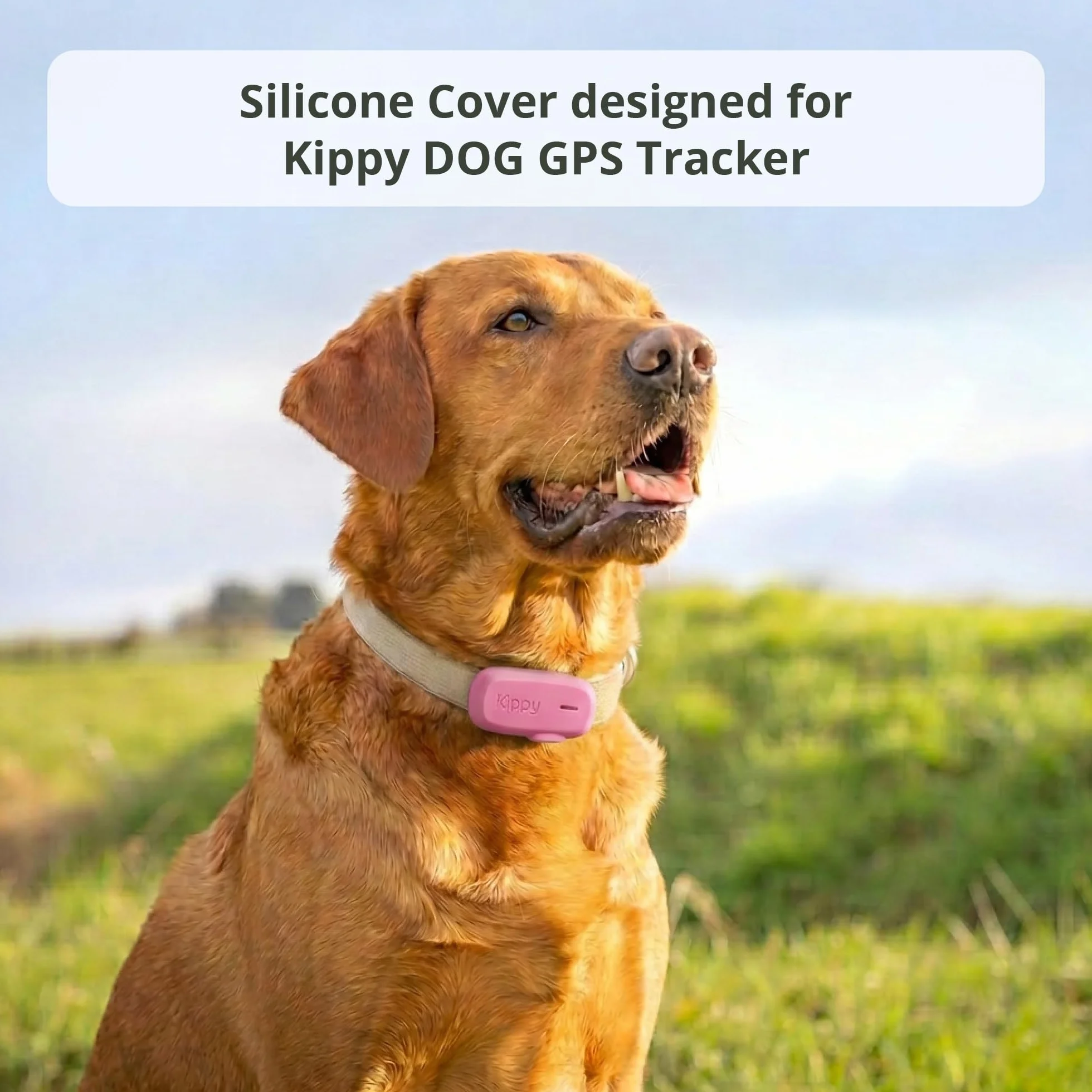 Kippy Dog Silicon Cover Pink