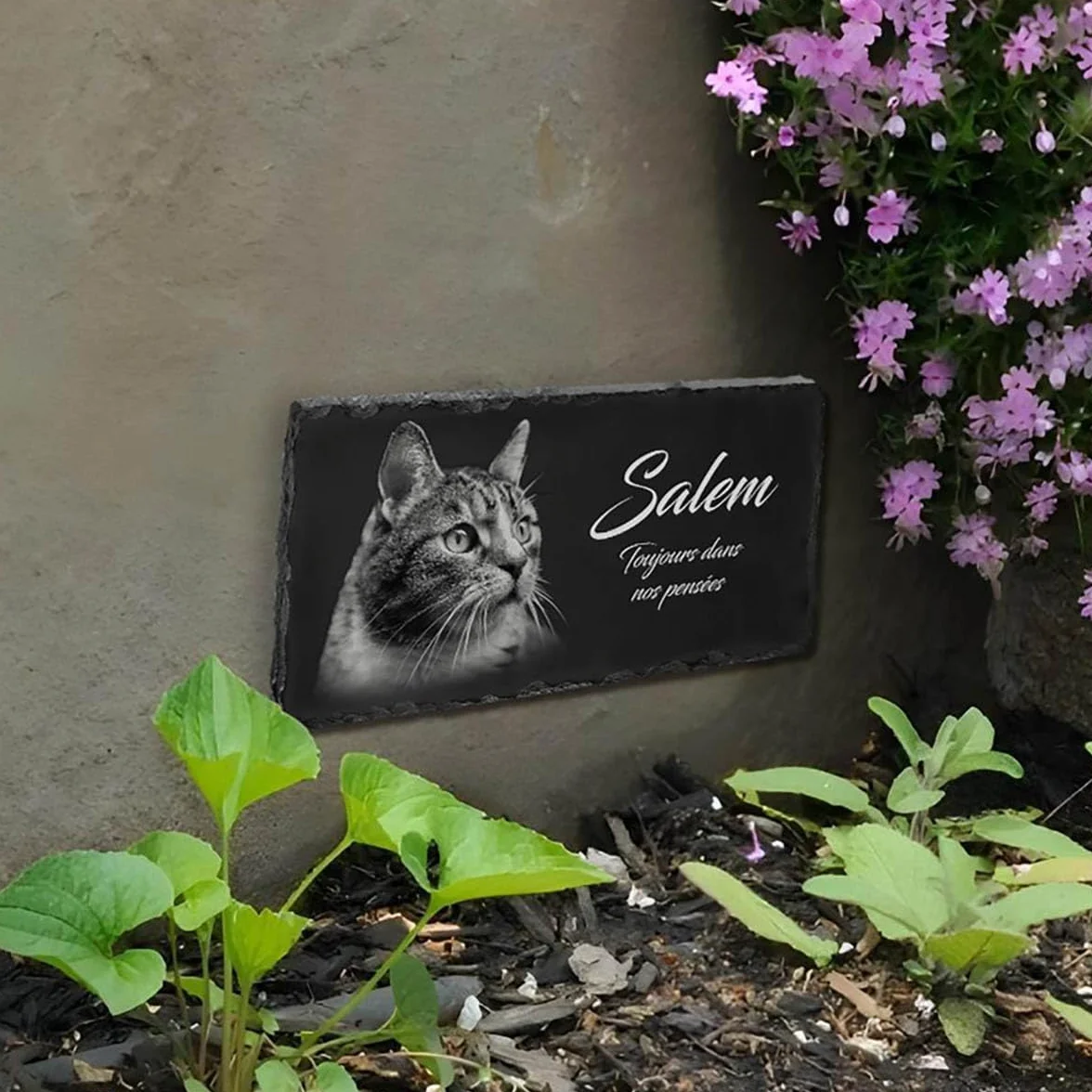 Plaque Funéraire Personnalisée pour Animaux Ardoise Granit Empreinte Photo Texte